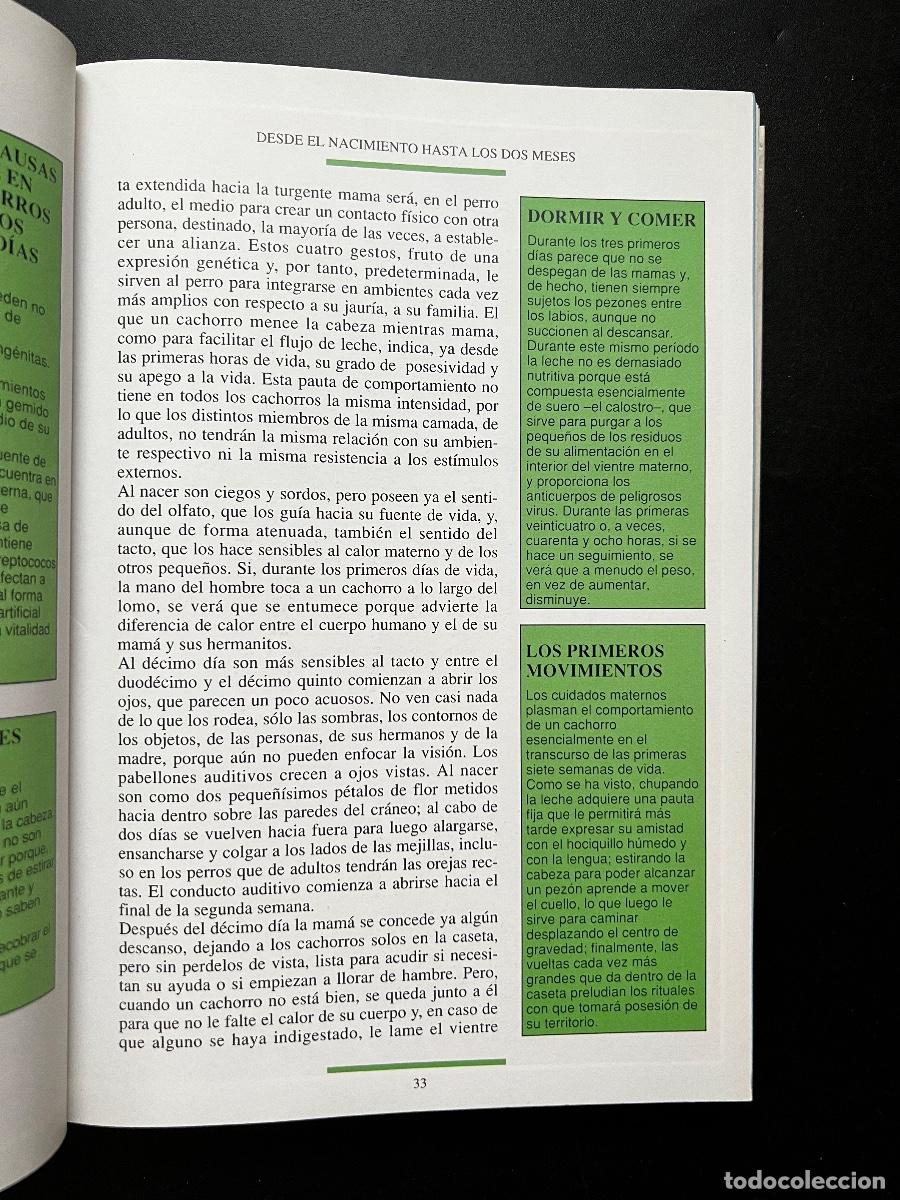 Libros de segunda mano: EL LIBRO DEL CACHORRO. MARIO PERRICONE. ED. DEL DRAC. 2&ordf; ED. MADRID, 1993. PAGS: 252. - Foto 6