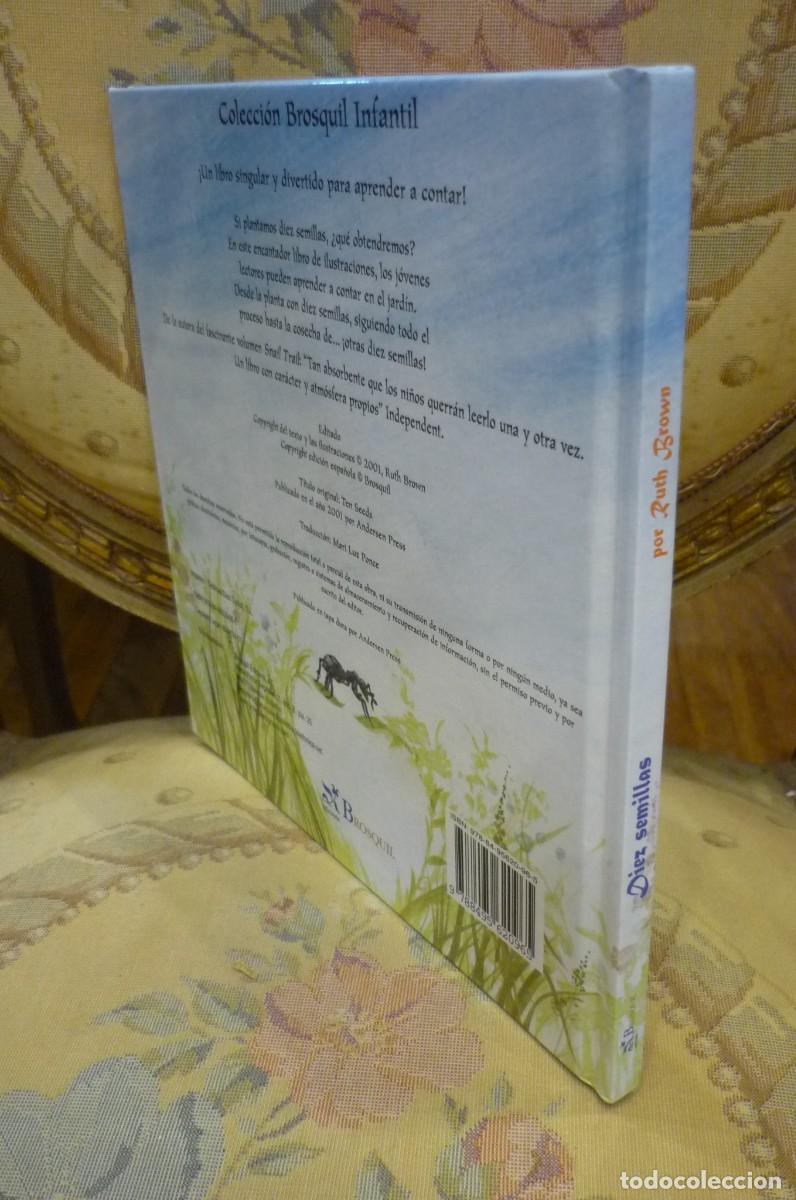 Libros de segunda mano: DIEZ SEMILLAS, DE RUTH BROWN. BROSQUIL EDICIONES, VALENCIA, 2007. - Foto 3