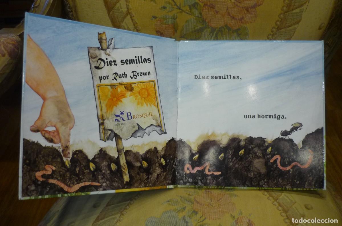 Libros de segunda mano: DIEZ SEMILLAS, DE RUTH BROWN. BROSQUIL EDICIONES, VALENCIA, 2007. - Foto 5