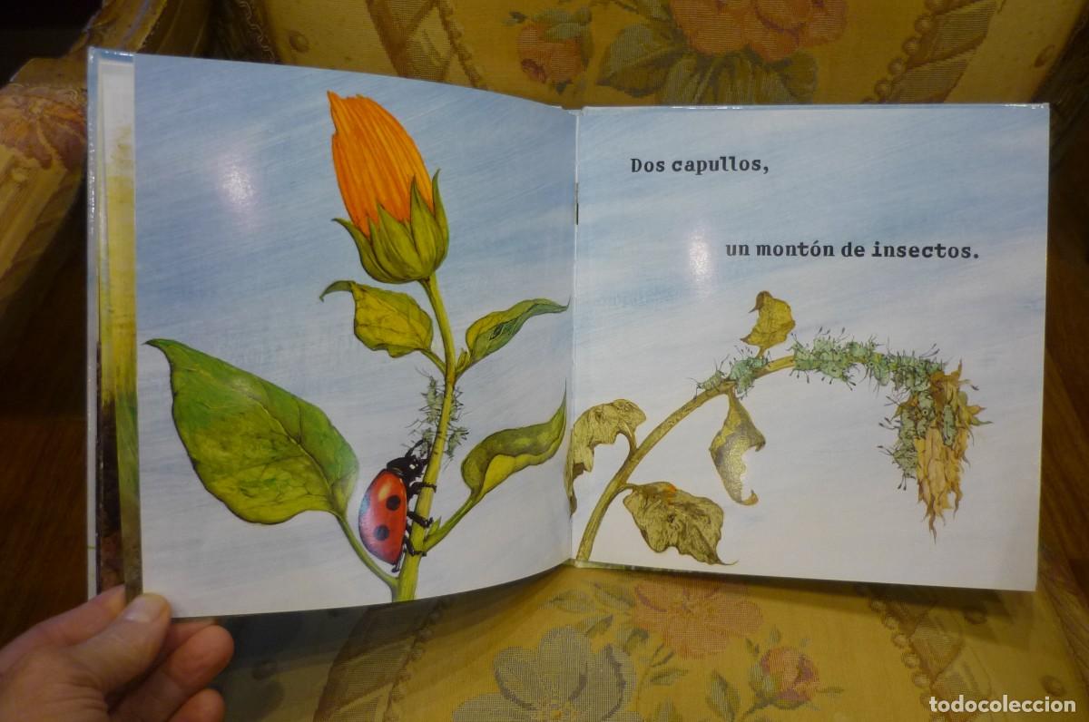 Libros de segunda mano: DIEZ SEMILLAS, DE RUTH BROWN. BROSQUIL EDICIONES, VALENCIA, 2007. - Foto 8