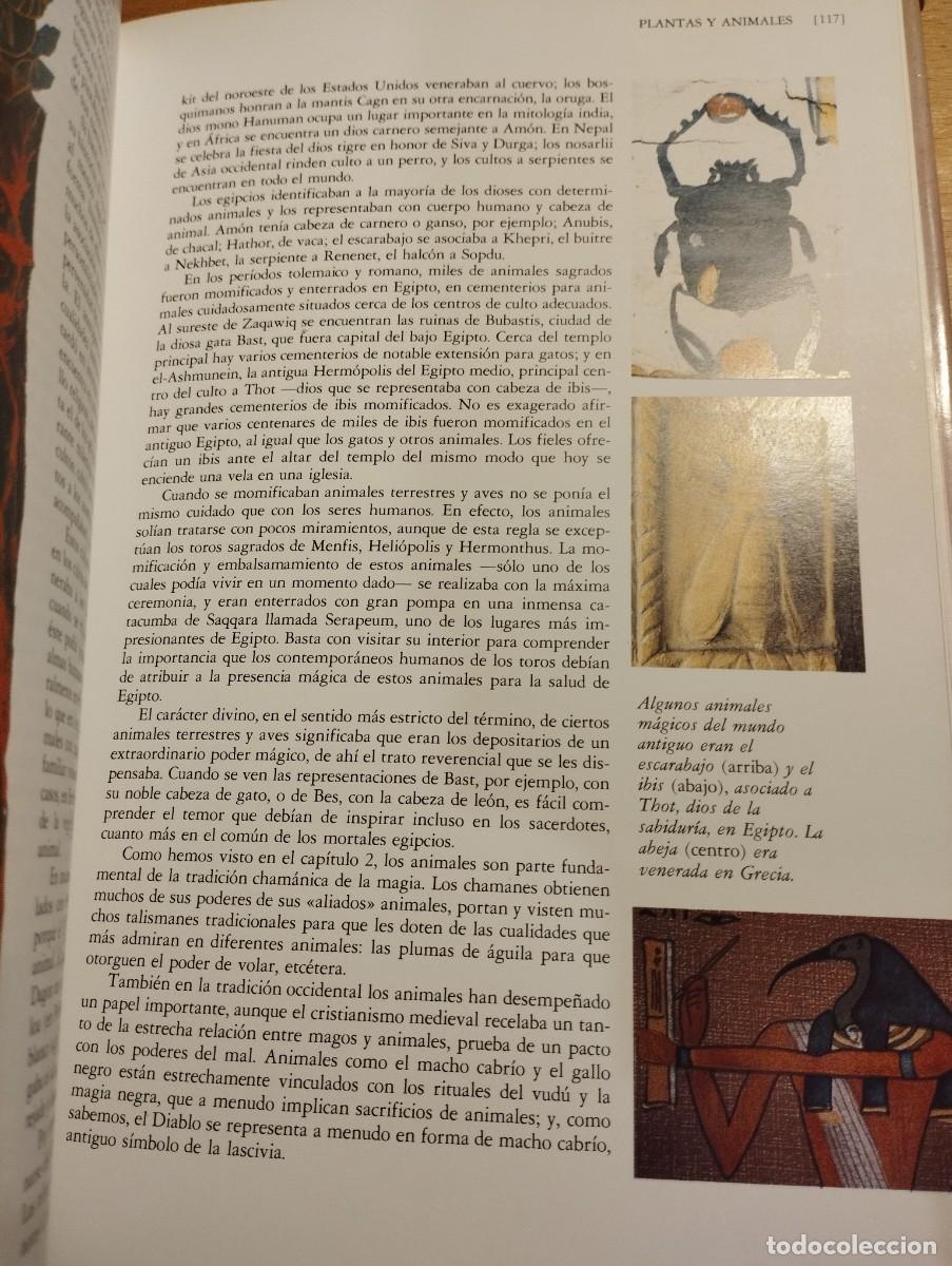 Libros de segunda mano: EL PODER DE LA MAGIA (DEREK Y JULIA PARKER) - Foto 11
