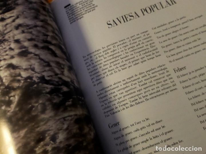 Libros de segunda mano: OBSERVANT EL TEMPS - ALFRED RODR&Iacute;GUEZ PIC&Oacute; - Foto 6