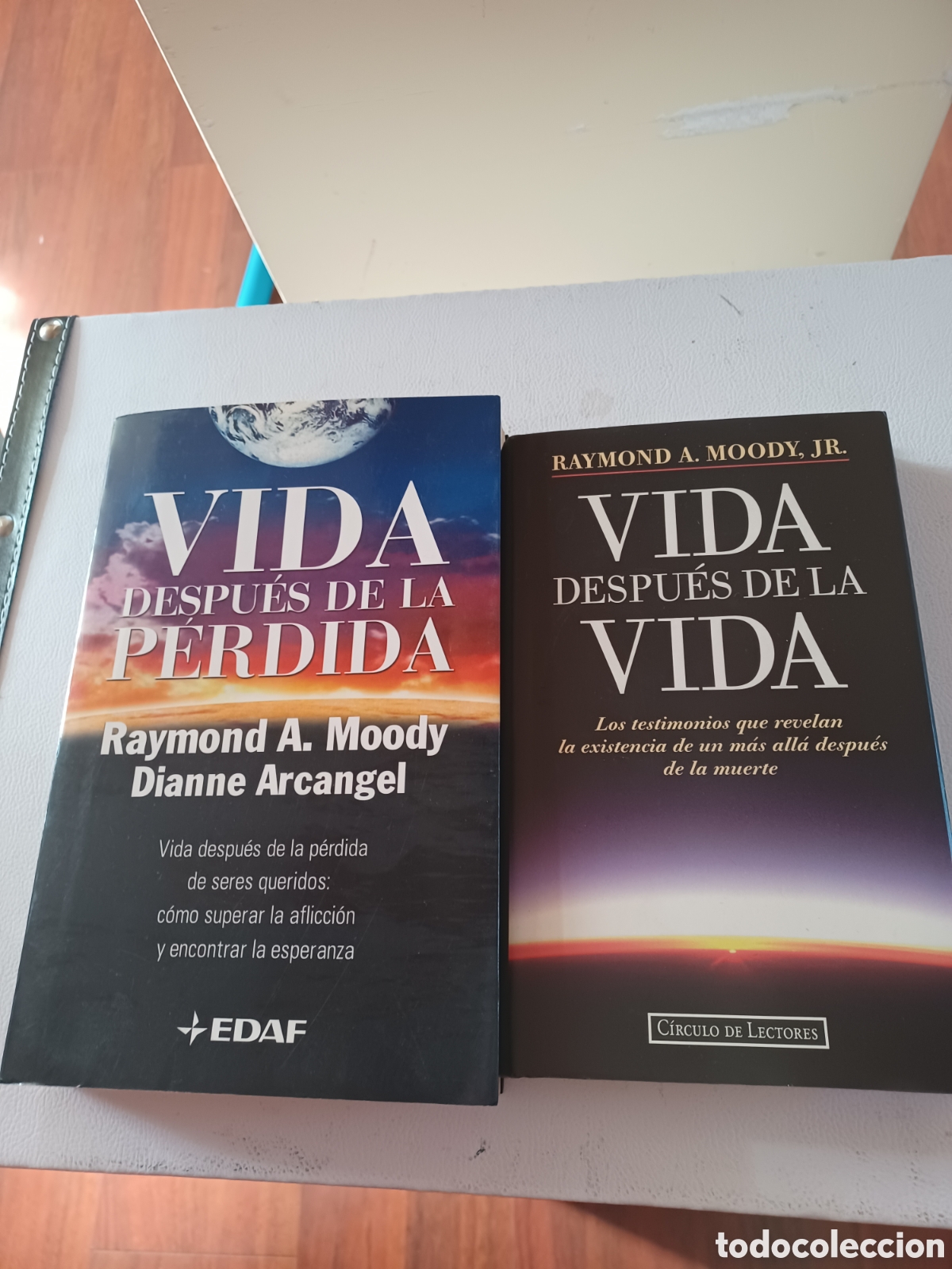 Libros de segunda mano: Lote vida despues de la vida y vida despues de la perdida - Foto 1
