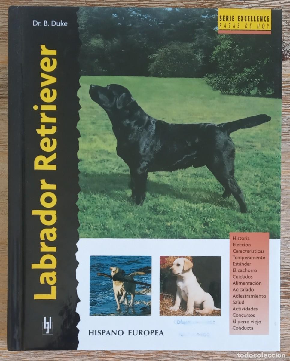 Libros de segunda mano: LABRADOR RETRIEVER - DR. B. DUKE - HISPANO EUROPEA - Foto 1