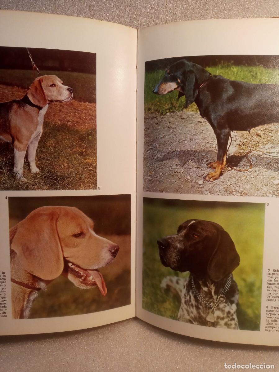 Libros de segunda mano: LOS PERROS - DOCUMENTAL EN COLOR. - Foto 3