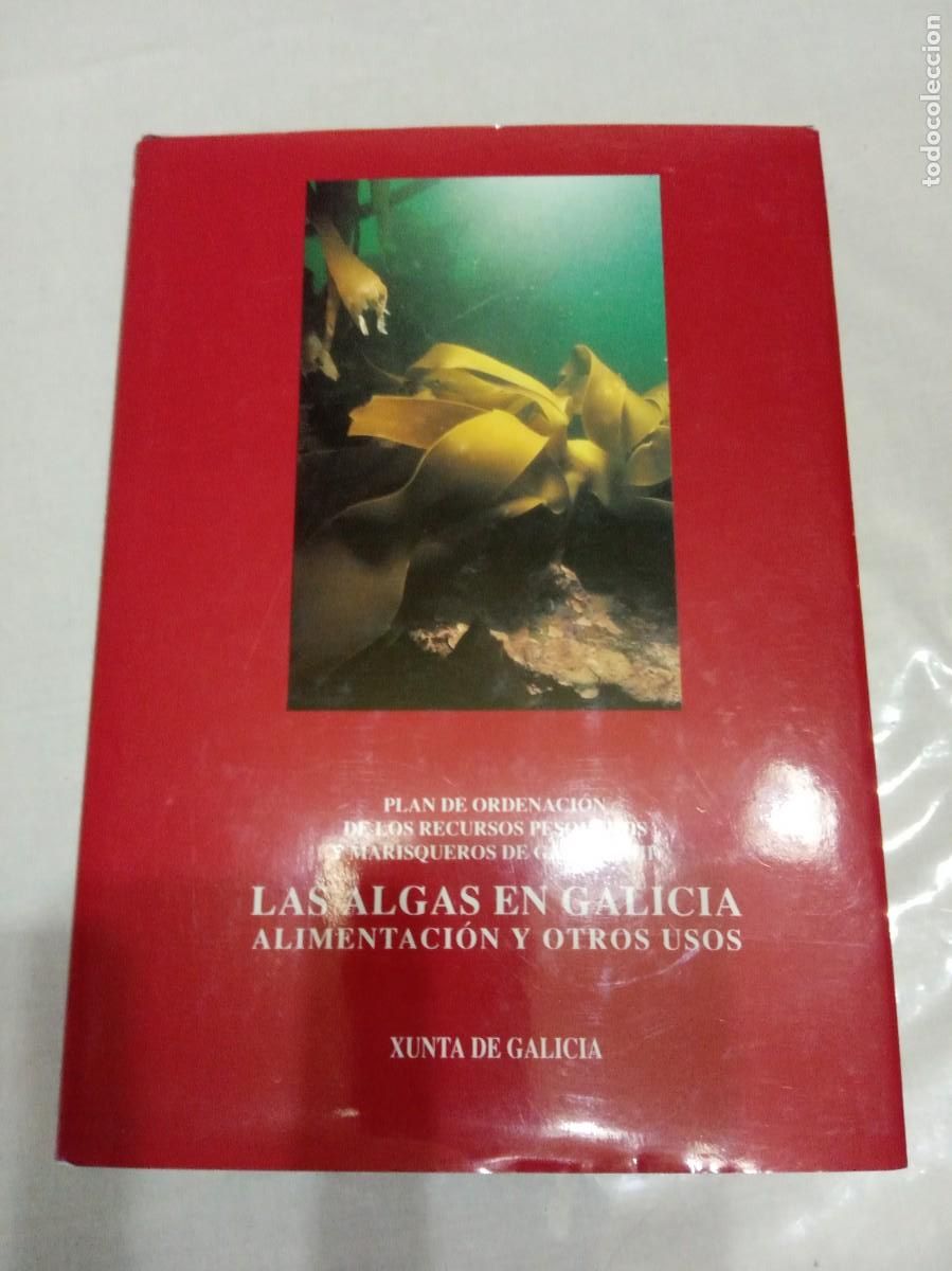 Libros de segunda mano: LAS ALGAS EN GALICIA. ALIMENTACI&Oacute;N Y OTROS USOS. - Foto 1