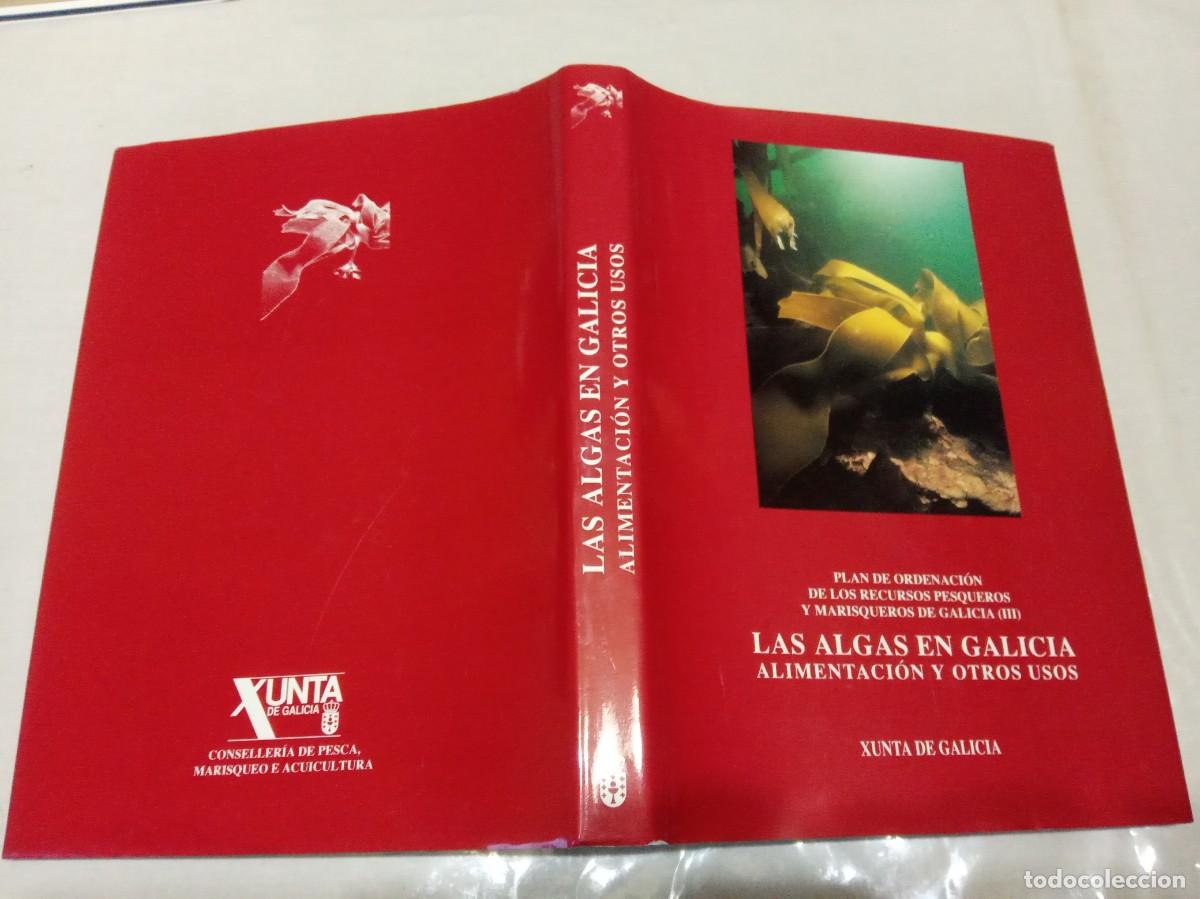 Libros de segunda mano: LAS ALGAS EN GALICIA. ALIMENTACI&Oacute;N Y OTROS USOS. - Foto 2