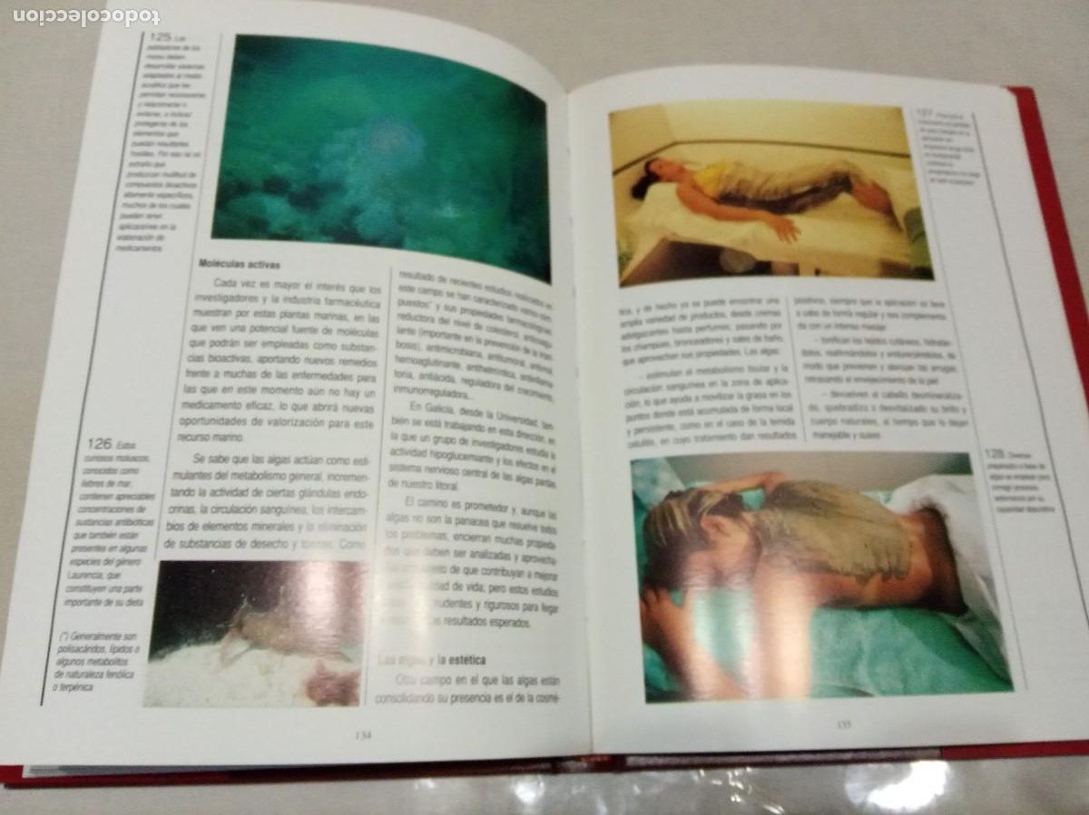 Libros de segunda mano: LAS ALGAS EN GALICIA. ALIMENTACI&Oacute;N Y OTROS USOS. - Foto 3