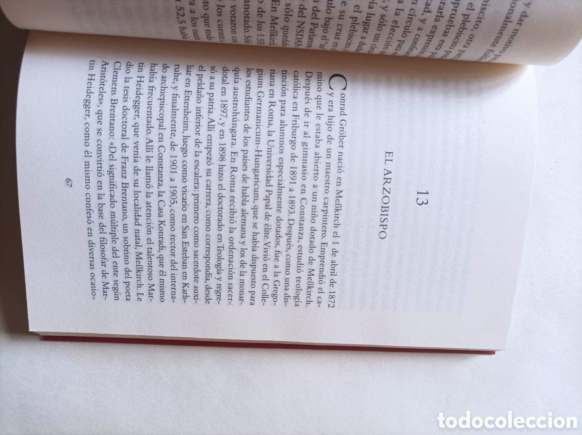 Libros de segunda mano: Martin y Fritz Heidegger / Hans Dieter Zimmermann - Foto 6