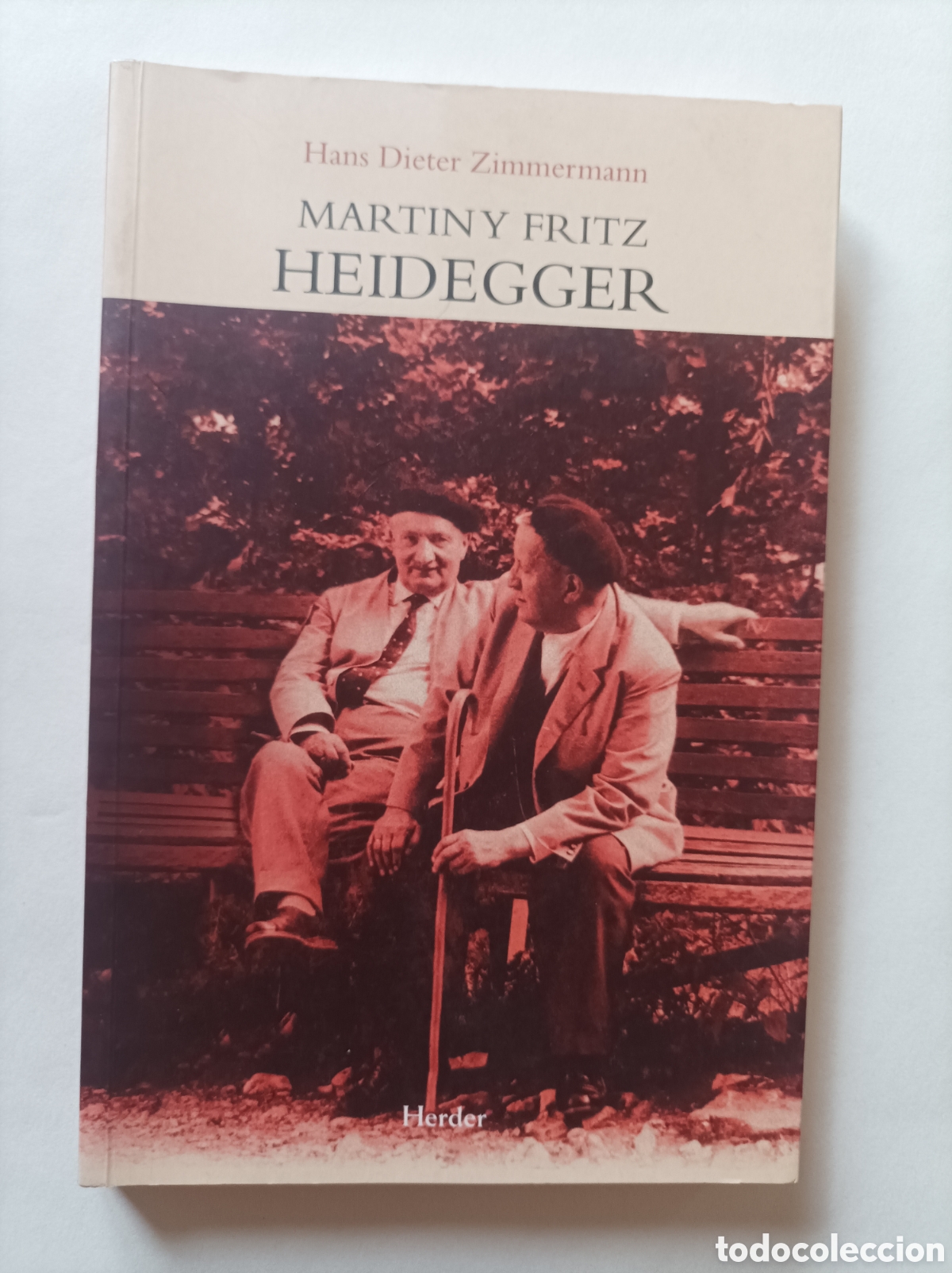 Libros de segunda mano: Martin y Fritz Heidegger / Hans Dieter Zimmermann - Foto 1