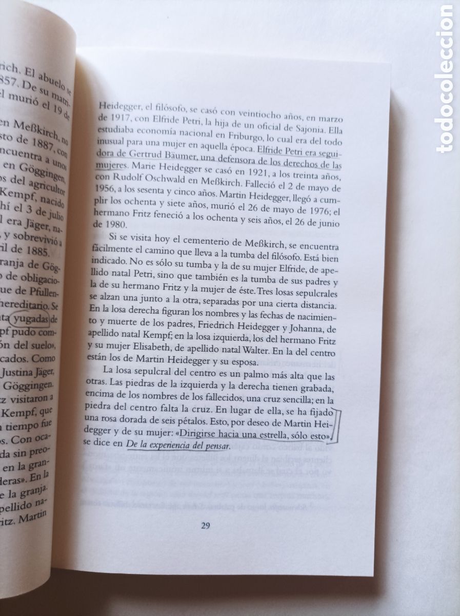Libros de segunda mano: Martin y Fritz Heidegger / Hans Dieter Zimmermann - Foto 9