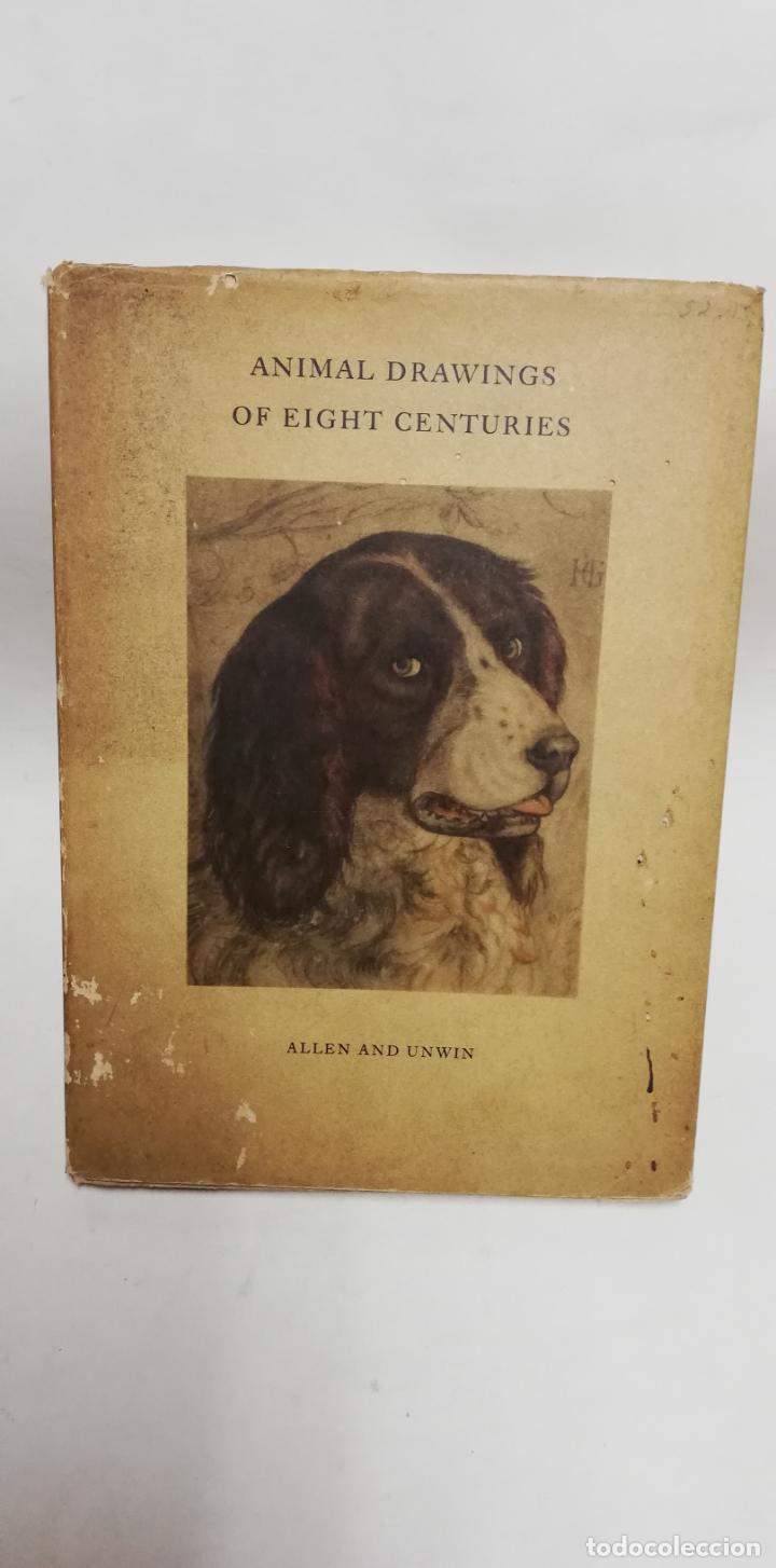Libros de segunda mano: ANIMAL DRAWINGS OF EIGHT CENTURIES. Cetto, Ana Mar&iacute;a.