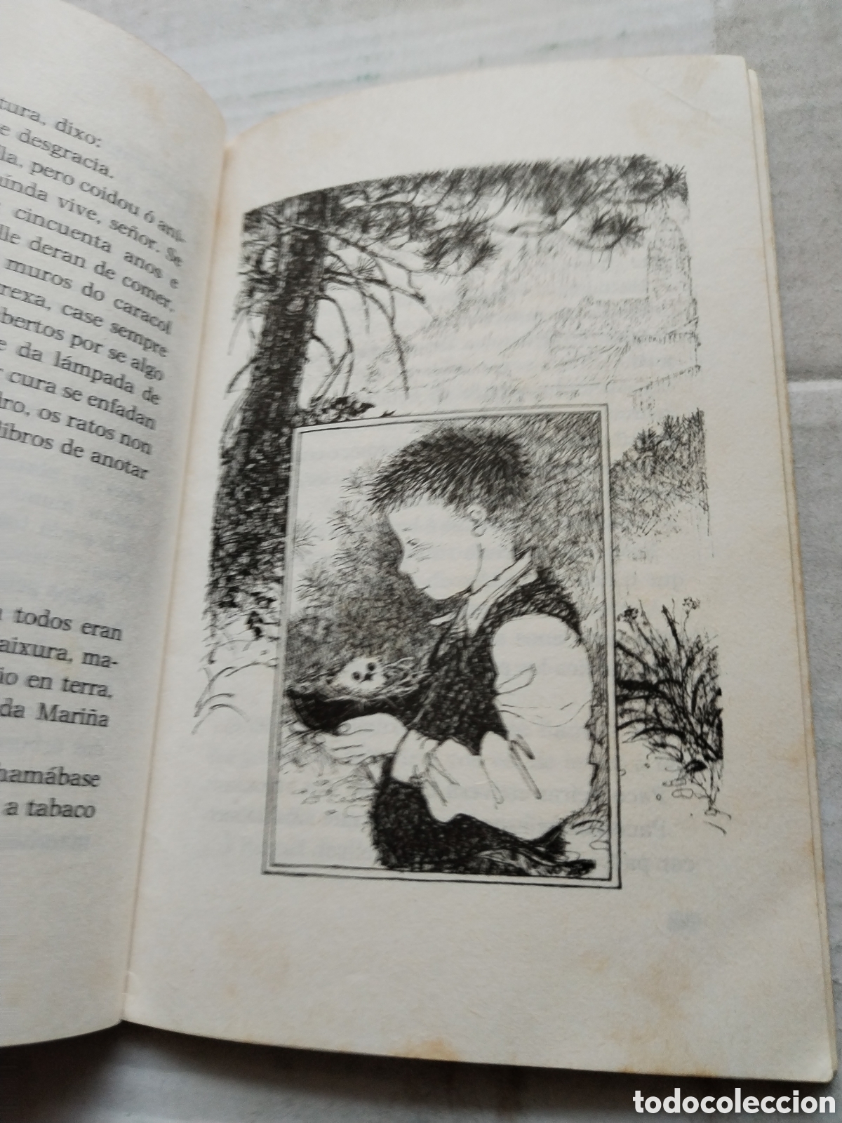 Libros de segunda mano: OS CORREDOIRAS/JUAN FARIAS - Foto 4