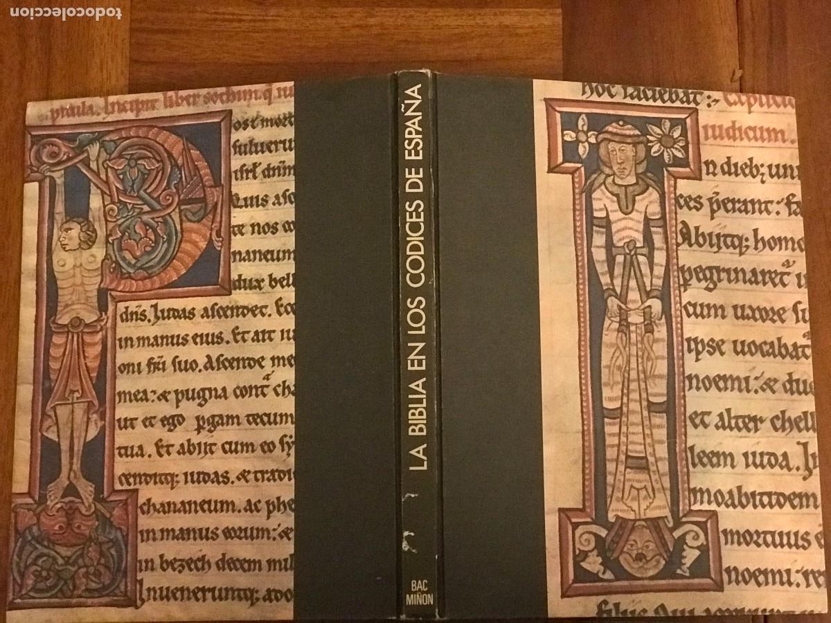 Libros de segunda mano: Pilar de Miguel. La Biblia en los c&oacute;dices de Espa&ntilde;a - Foto 2