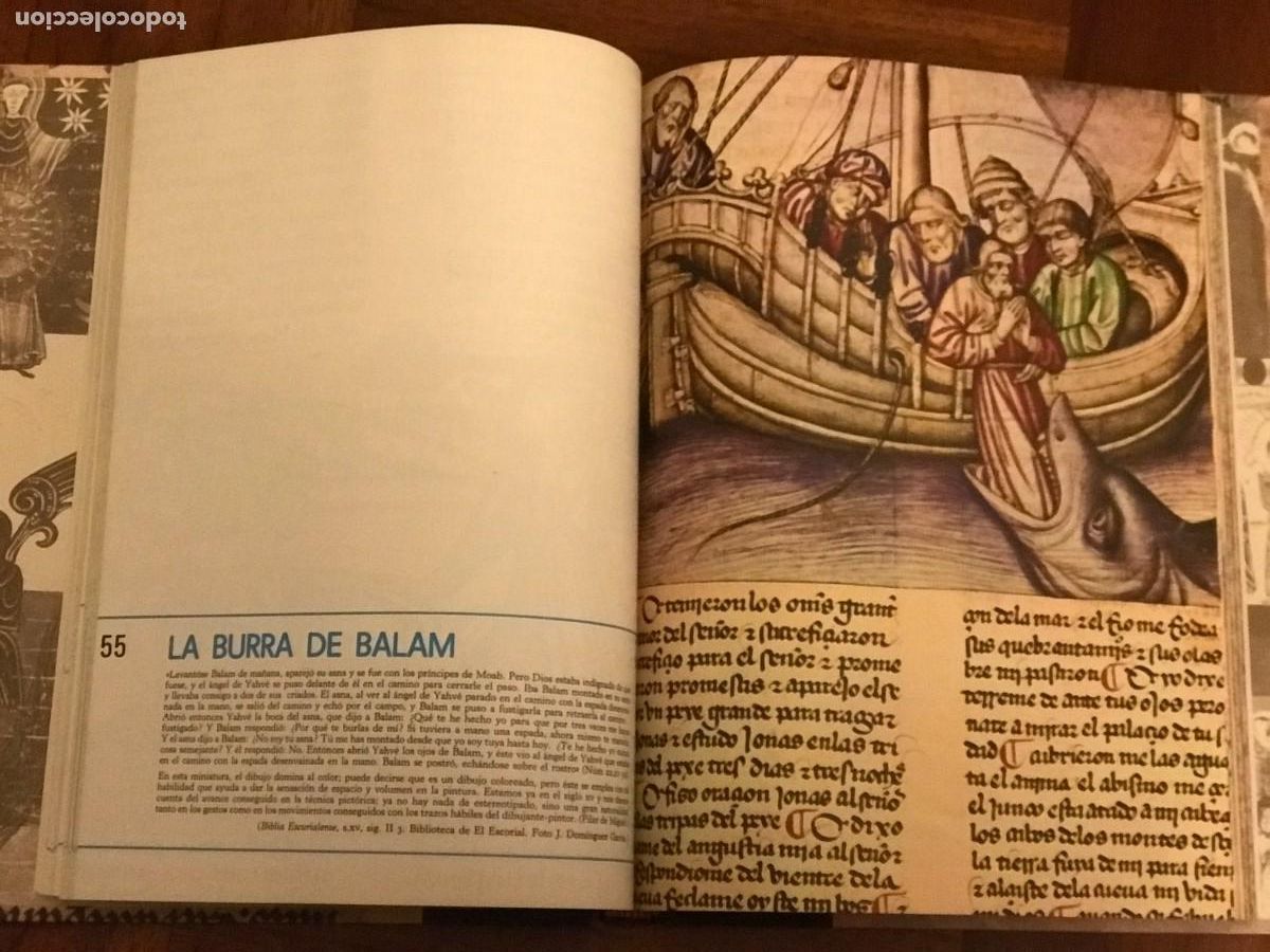 Libros de segunda mano: Pilar de Miguel. La Biblia en los c&oacute;dices de Espa&ntilde;a - Foto 6