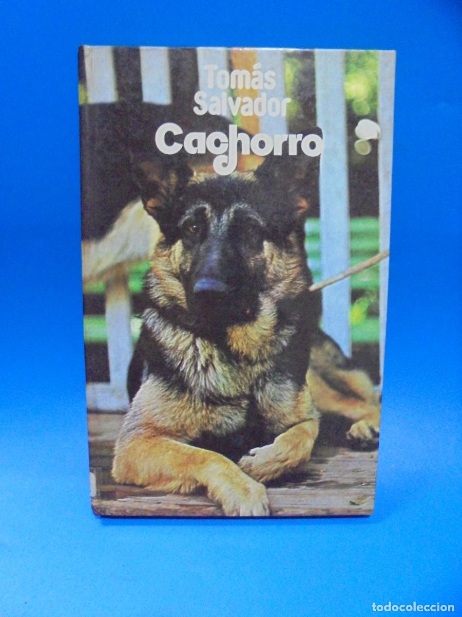 Libros de segunda mano: CACHORRO. TOMAS SALVADOR. EDICIONES 29. 1982. PAGS : 123. - Foto 1