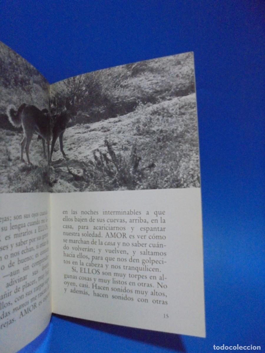Libros de segunda mano: CACHORRO. TOMAS SALVADOR. EDICIONES 29. 1982. PAGS : 123. - Foto 2