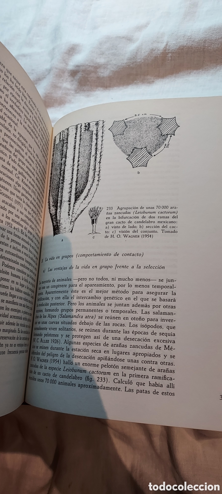 Libros de segunda mano: ETOLOGIA INTRODUCCION AL ESTUDIO COMPARADO DEL COMPORTAMIENTO.IRENAUS EIBI-EIBESFELDT.OMEGA 1979.-2&ordf; - Foto 9