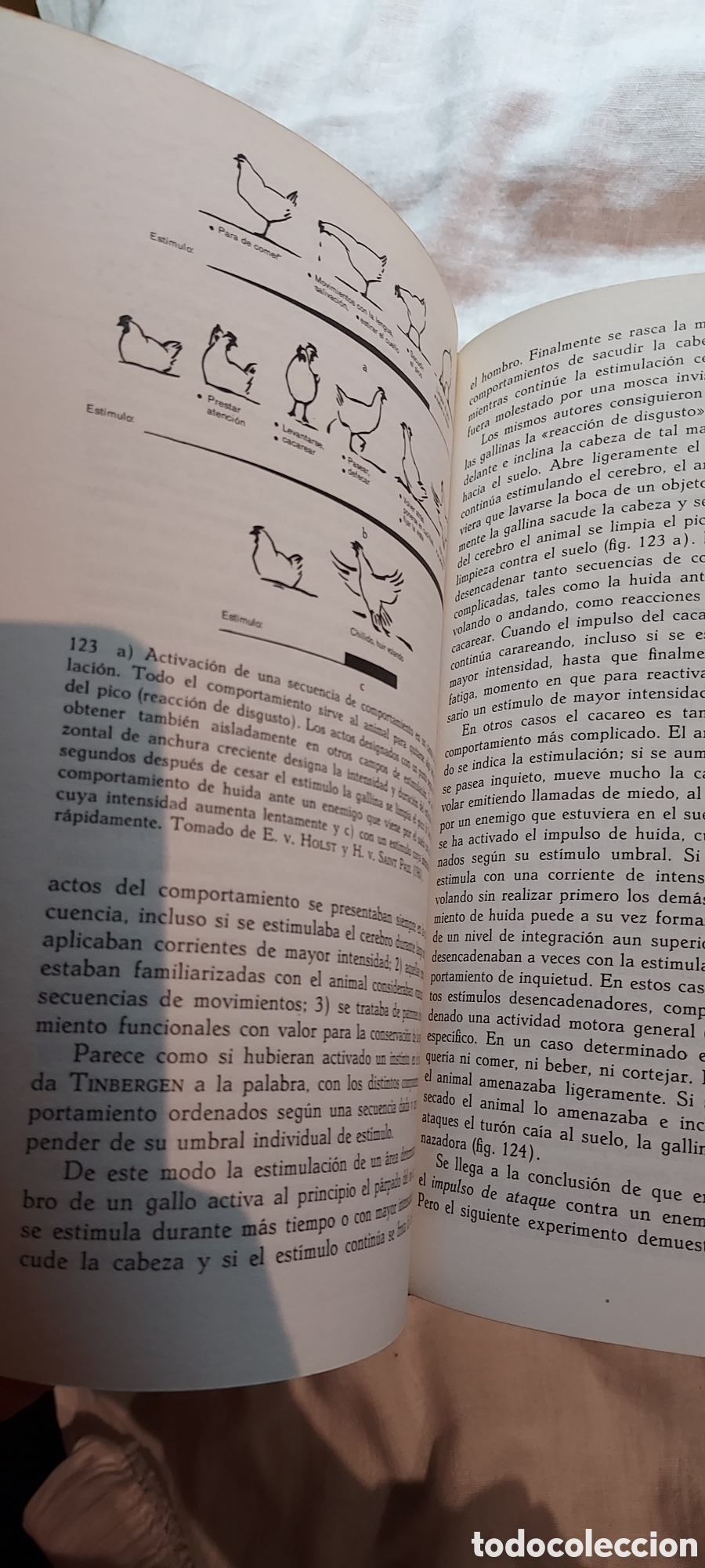Libros de segunda mano: ETOLOGIA INTRODUCCION AL ESTUDIO COMPARADO DEL COMPORTAMIENTO.IRENAUS EIBI-EIBESFELDT.OMEGA 1979.-2&ordf; - Foto 11