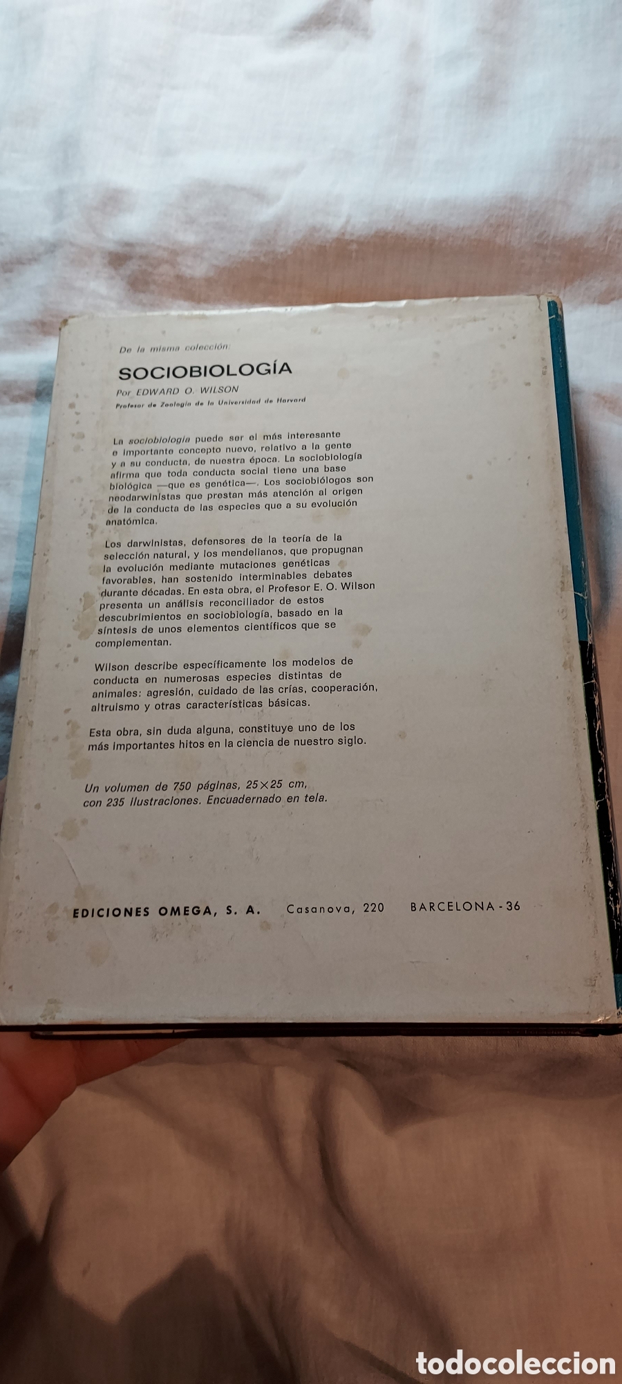 Libros de segunda mano: ETOLOGIA INTRODUCCION AL ESTUDIO COMPARADO DEL COMPORTAMIENTO.IRENAUS EIBI-EIBESFELDT.OMEGA 1979.-2&ordf; - Foto 14