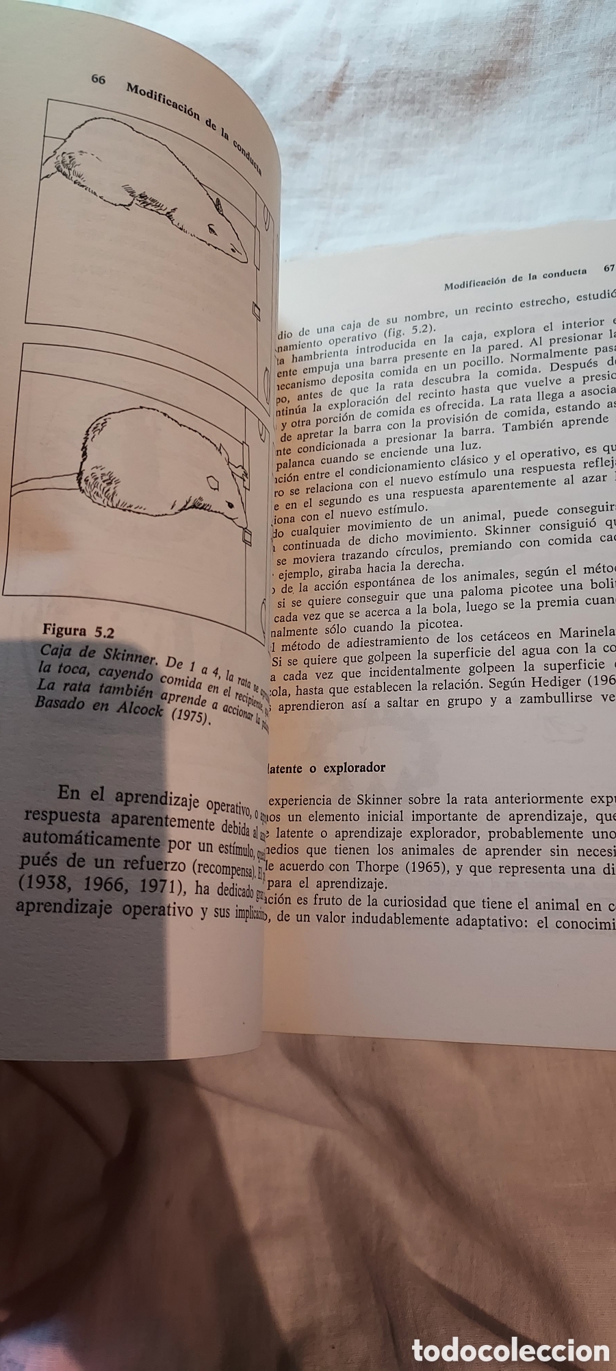 Libros de segunda mano: INTRODUCCION A LA ETOLOGIA.ANDRES DE HARO.EDICIONES OMEGA 1983 - Foto 10