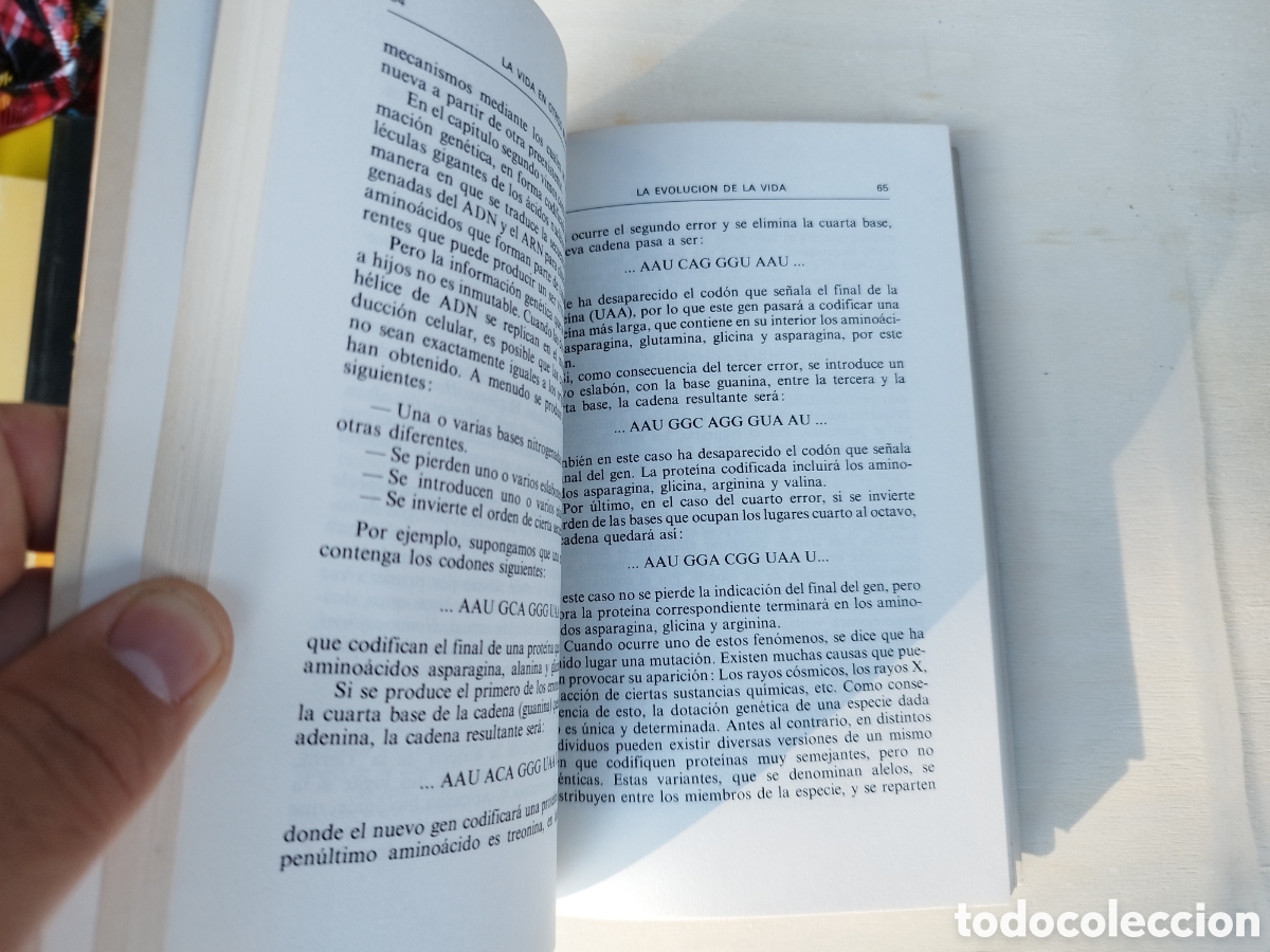 Libros de segunda mano: Libro La Vida En Otros Mundos - Manuel Alfonseca - - Foto 4