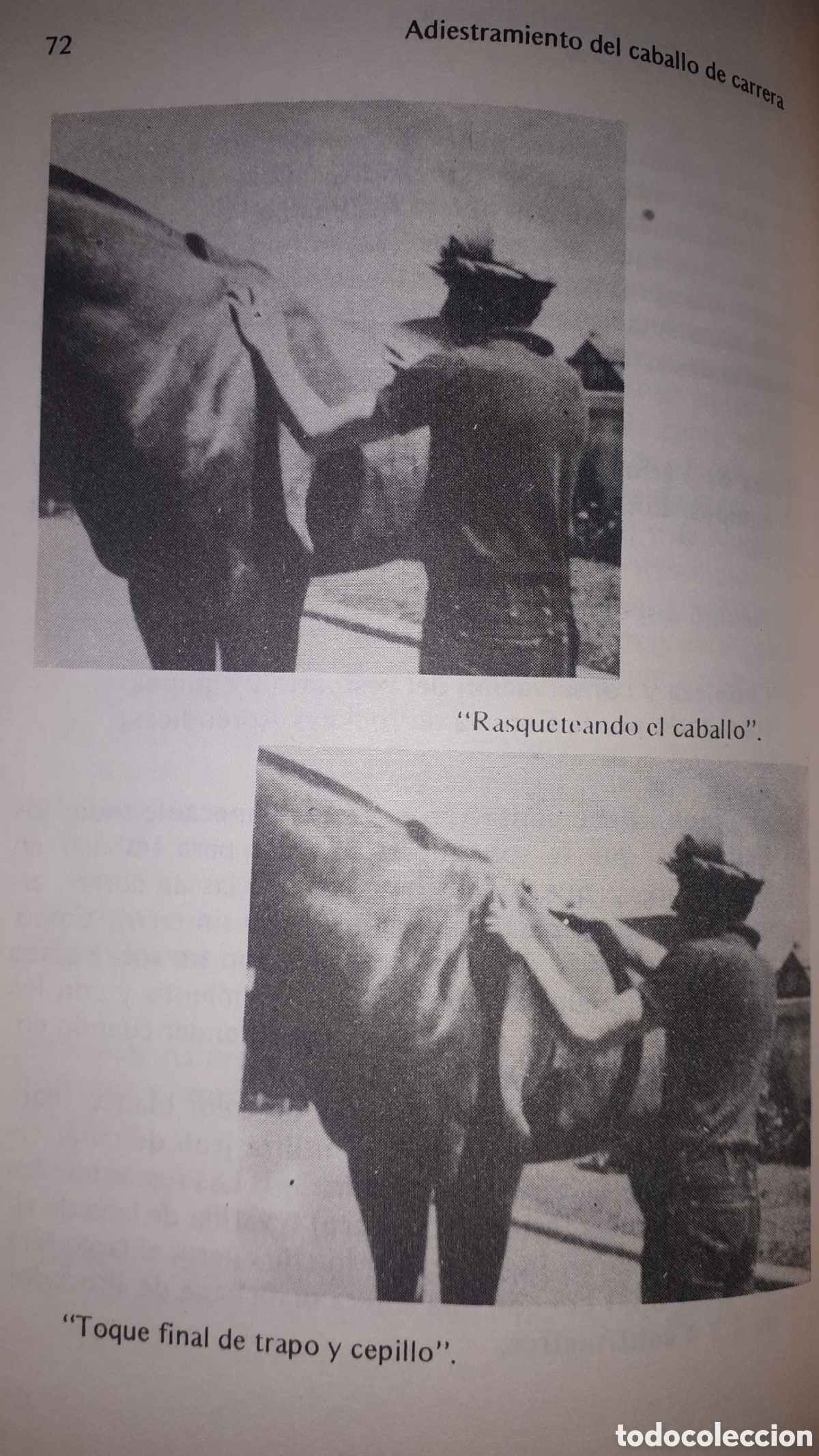 Libros de segunda mano: ADIESTRAMIENTO DEL CABALLO DE CARRERA - Foto 3