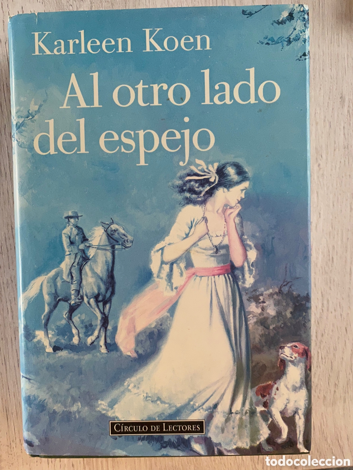 Libros de segunda mano: AL OTRO LADO DEL ESPEJO - KARLEEN KOEN - Foto 1