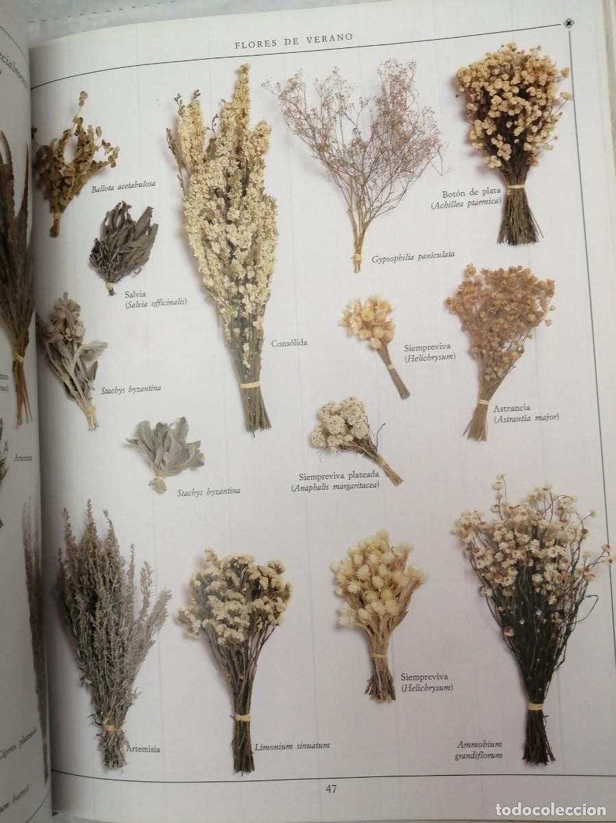 Libros de segunda mano: ARREGLOS CON FLORES SECAS (TAPA DURA) - Foto 8