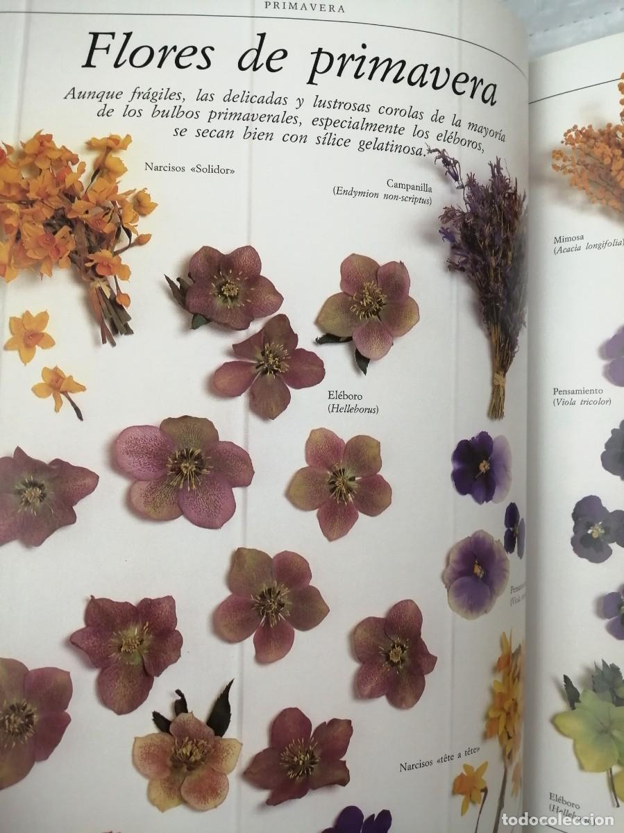 Libros de segunda mano: ARREGLOS CON FLORES SECAS (TAPA DURA) - Foto 10