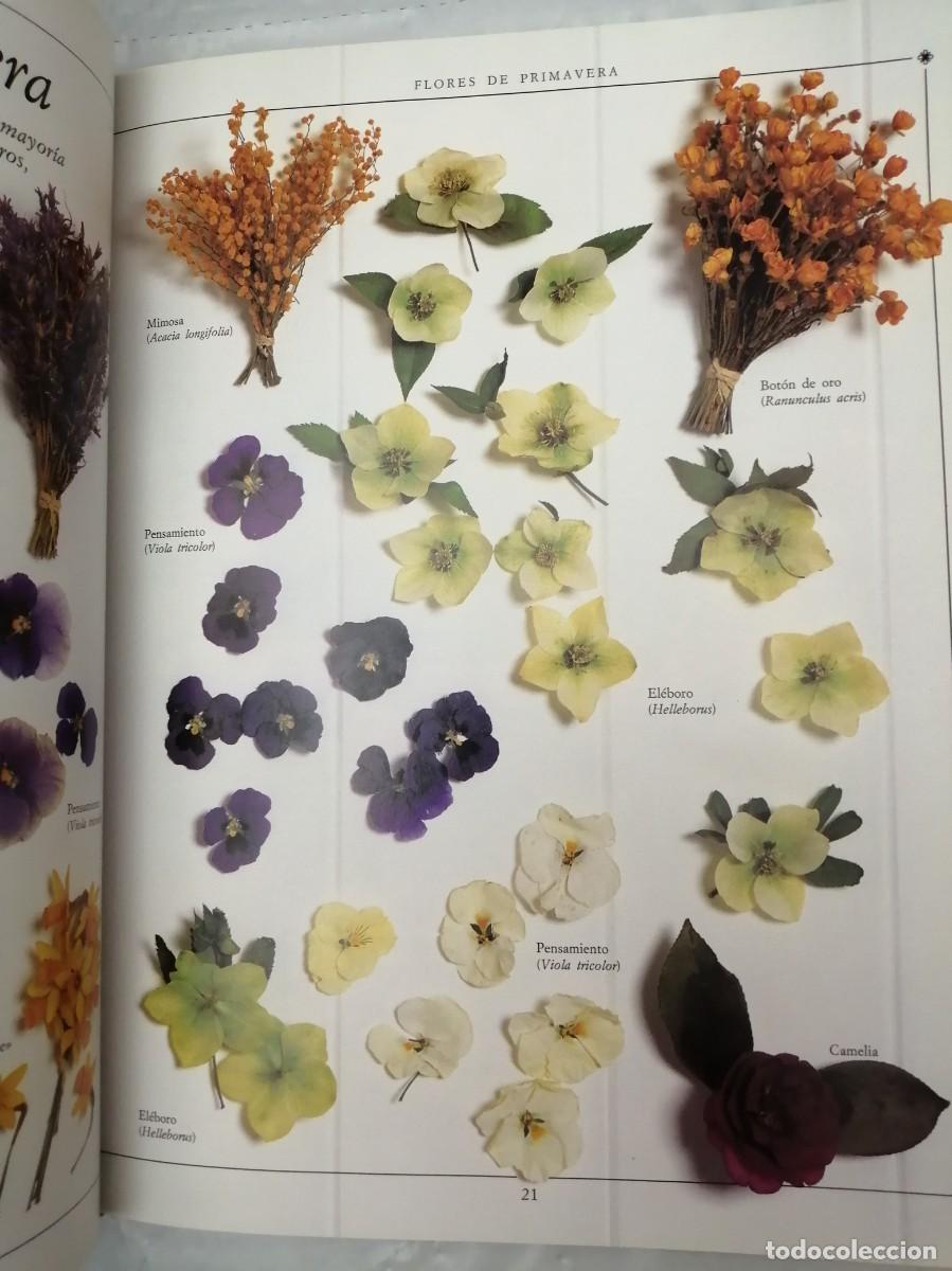 Libros de segunda mano: ARREGLOS CON FLORES SECAS (TAPA DURA) - Foto 11