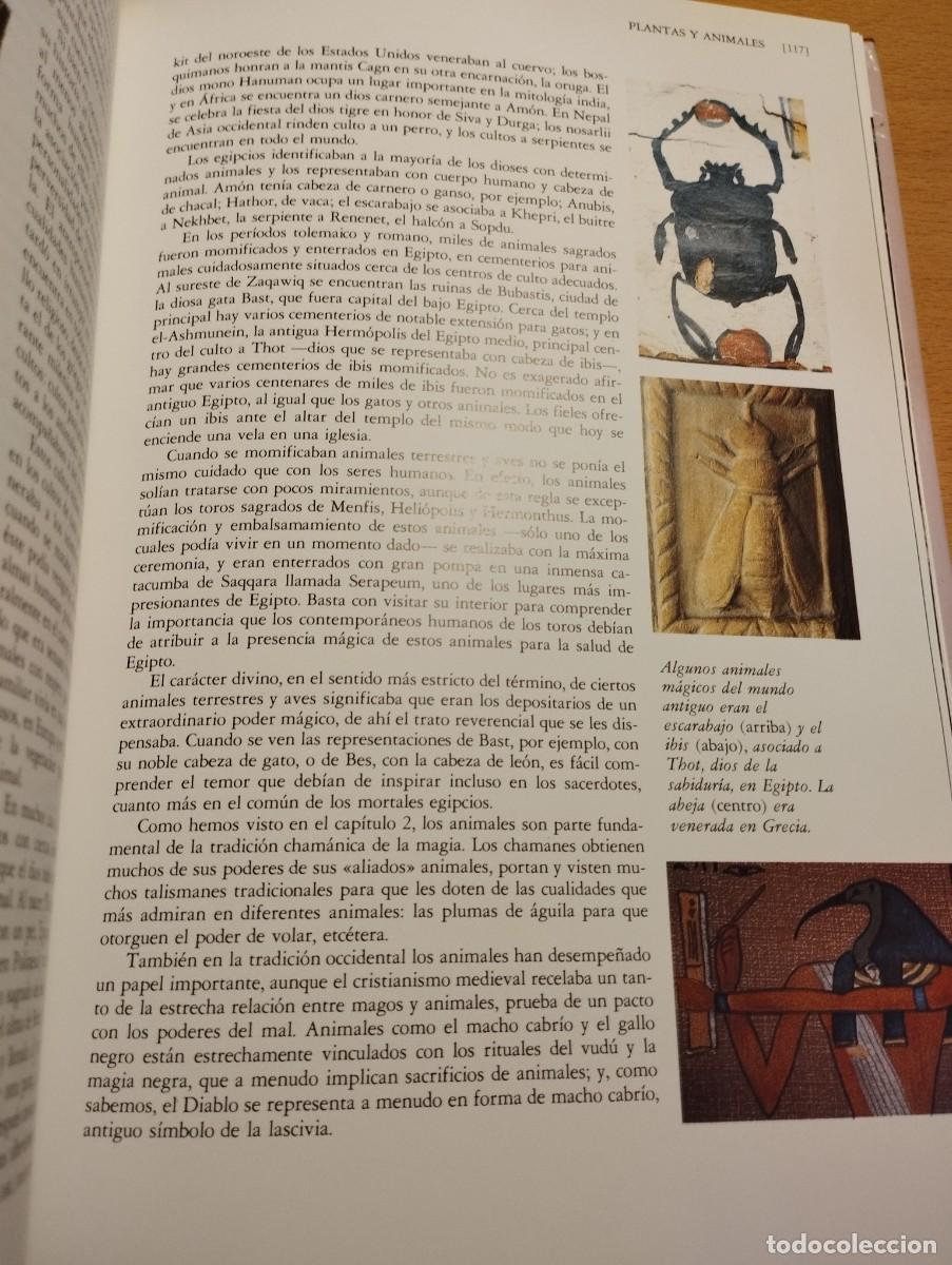 Libros de segunda mano: EL PODER DE LA MAGIA (DEREK Y JULIA PARKER) - Foto 11