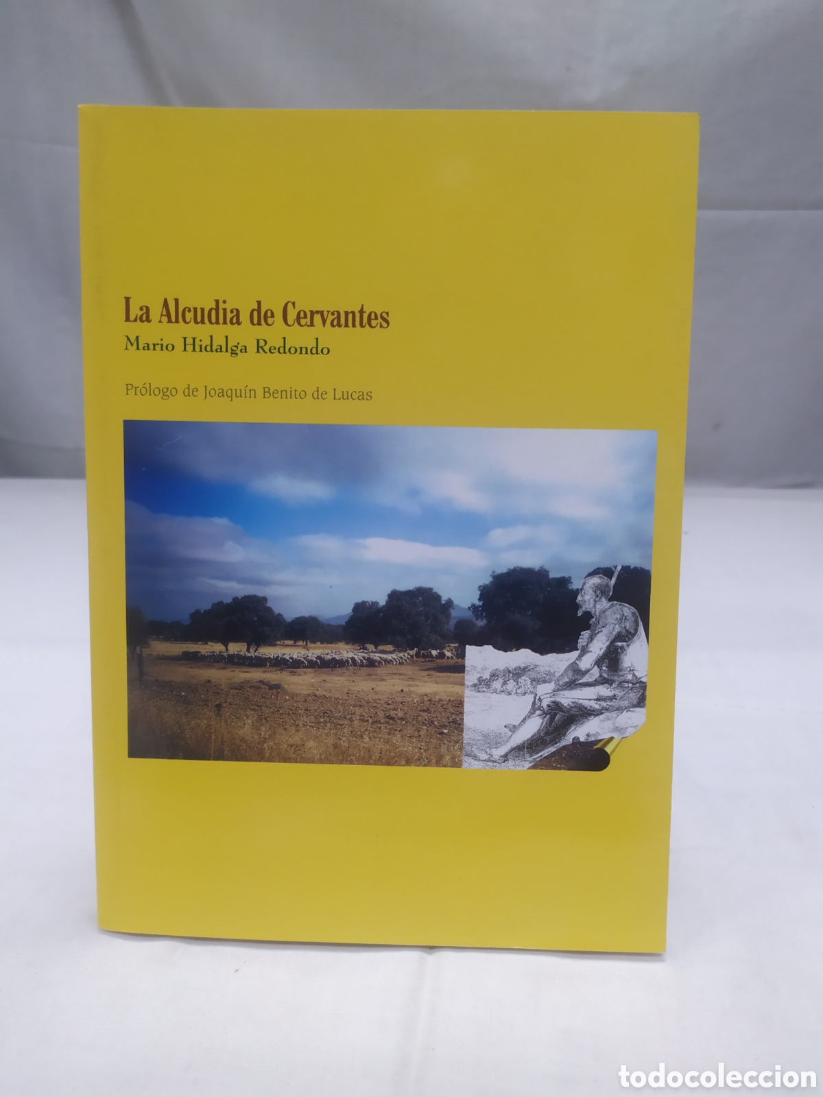 Libros de segunda mano: La Alcudia de Cervantes. Mario Hidalga, 2004
