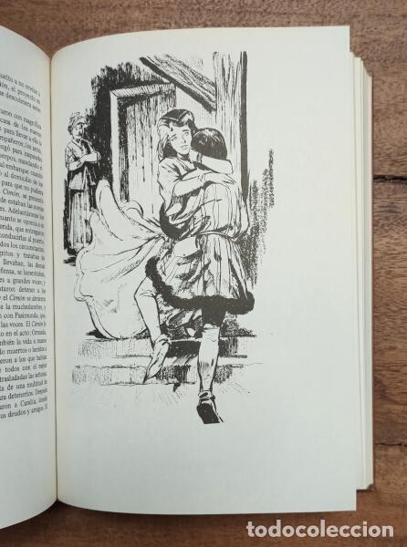 Libros de segunda mano: DECAMER&Oacute;N. BOCCACCIO. Ediciones Petronio. 1972. - Foto 4
