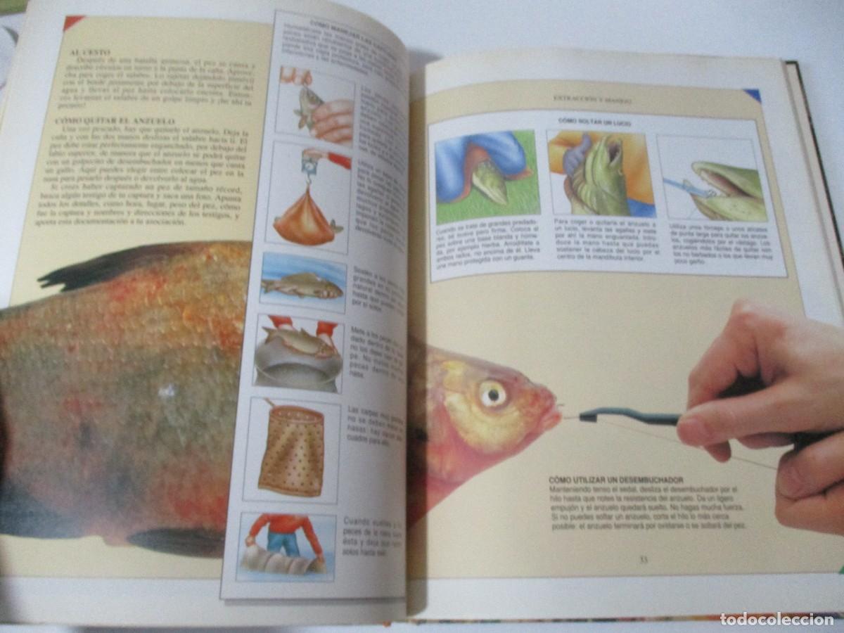 Libros de segunda mano: TONI WHIELDON La pesca W17219 - Foto 4