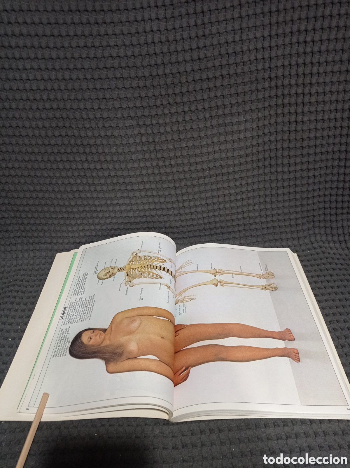 Libros de segunda mano: Gu&iacute;a pr&aacute;ctica ilustrada para los amantes de la ciencia - Foto 6