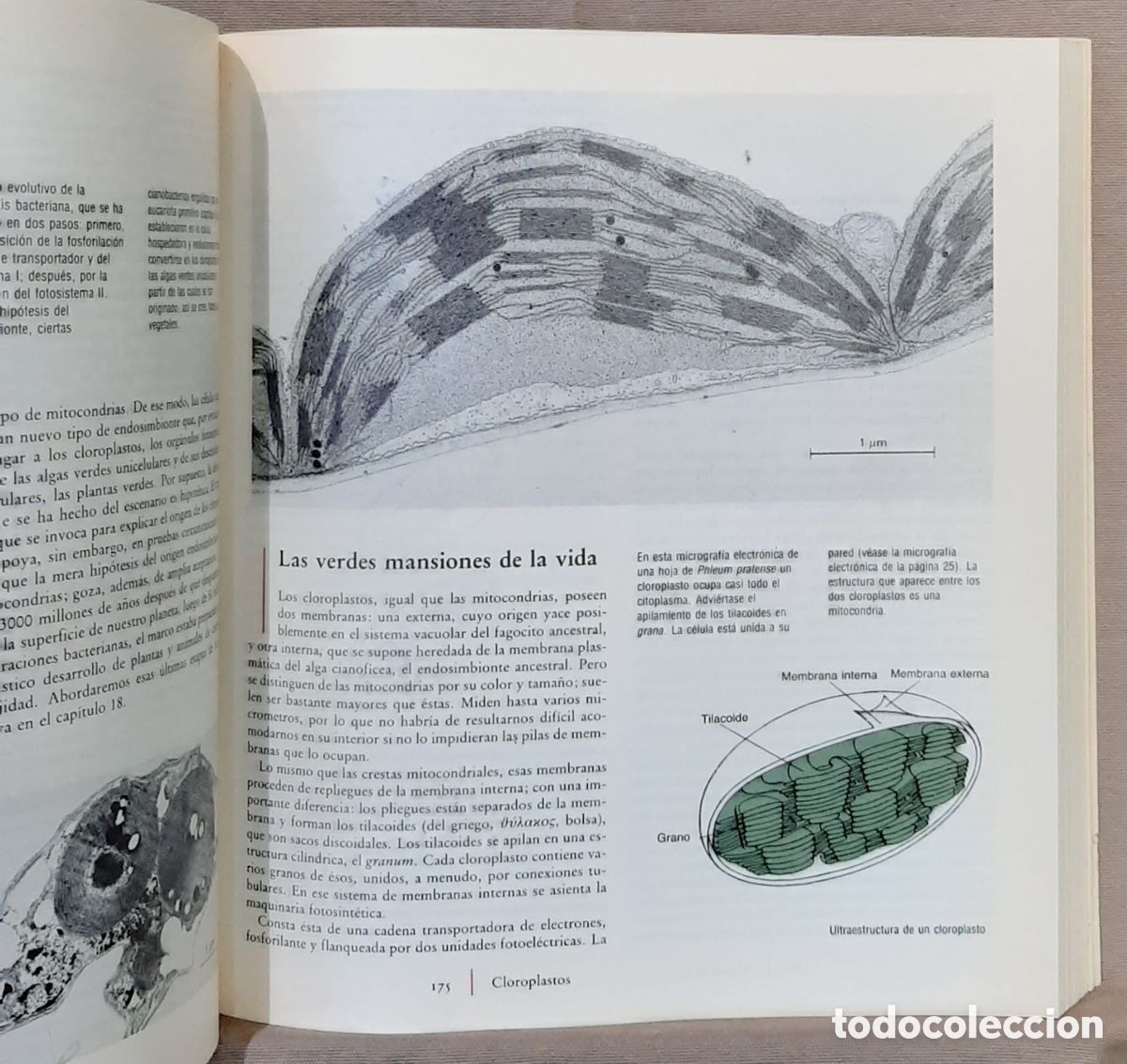 Libros de segunda mano: La c&eacute;lula viva. Christian de Duve. - Foto 2