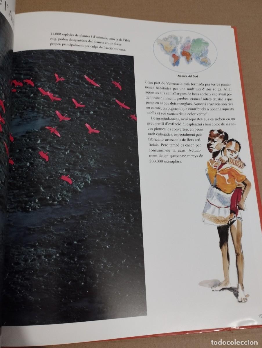 Libros de segunda mano: LA TERRA EXPLICADA ALS NENS (YANN ARTHUS-BERTRAND) - Foto 7