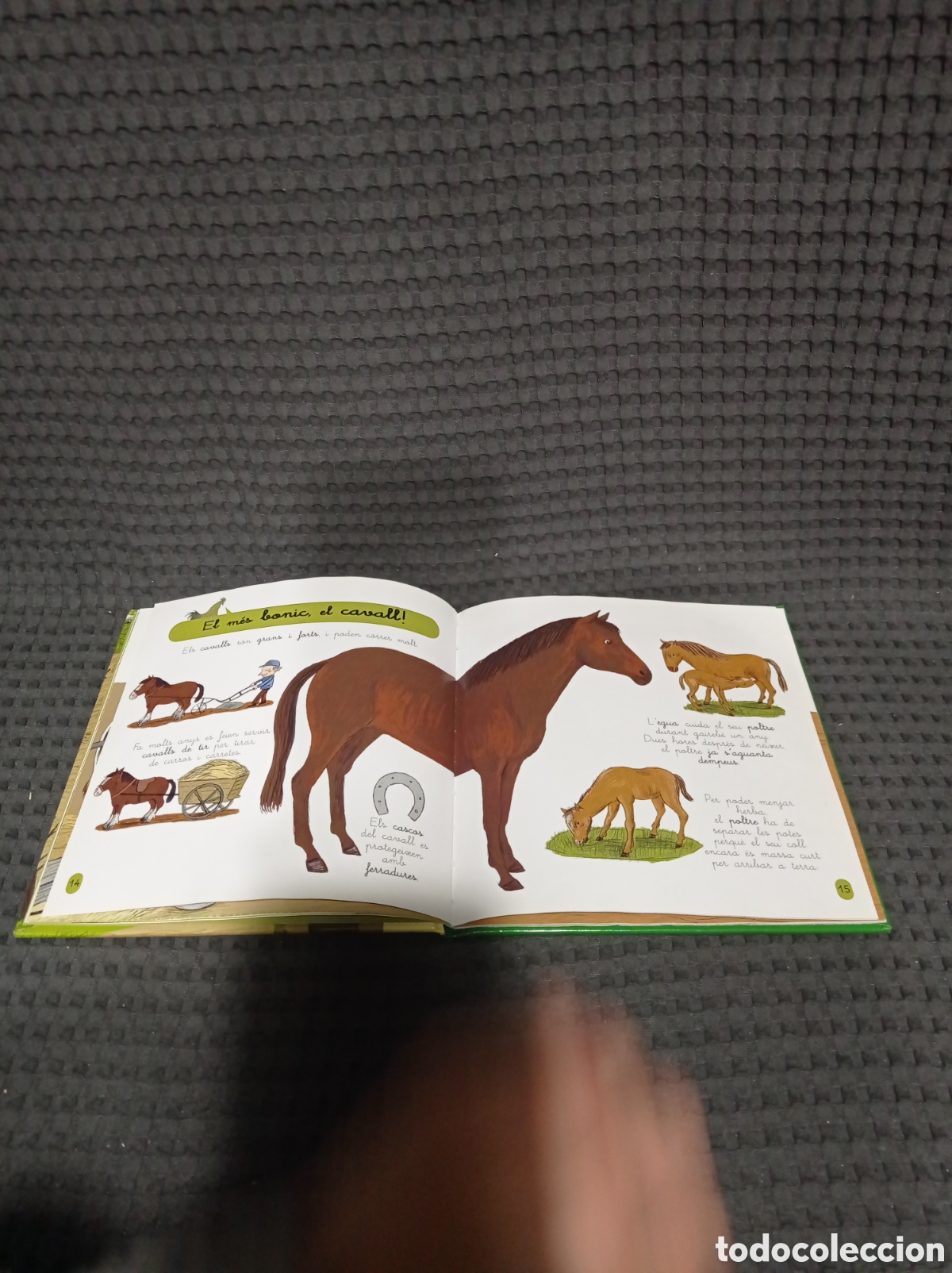 Libros de segunda mano: La granja Mini larousse - Foto 9