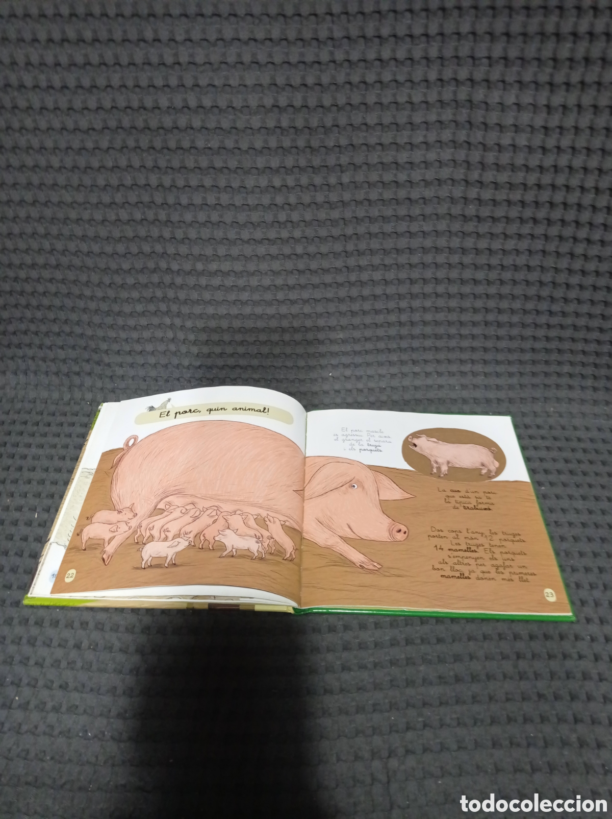 Libros de segunda mano: La granja Mini larousse - Foto 13