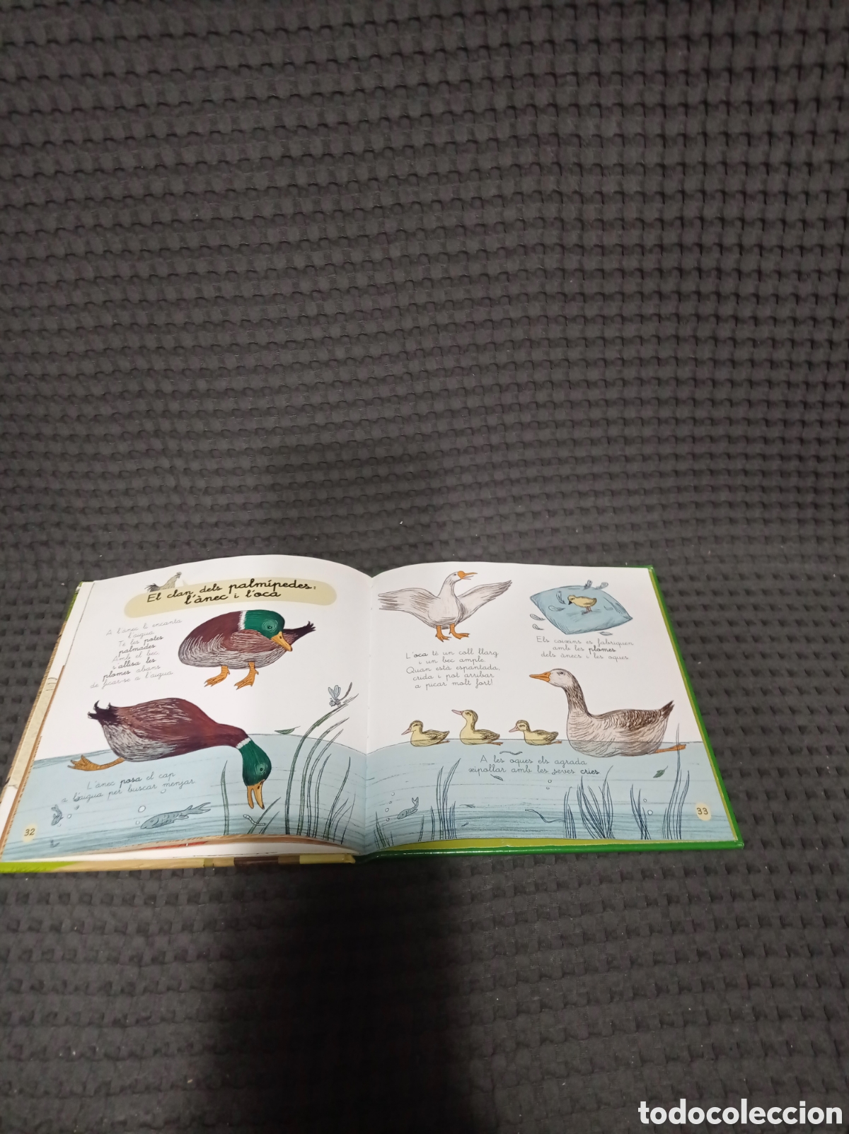 Libros de segunda mano: La granja Mini larousse - Foto 18