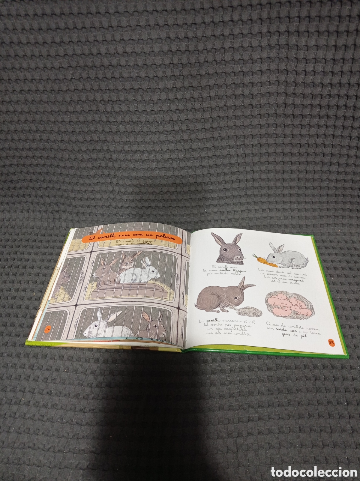 Libros de segunda mano: La granja Mini larousse - Foto 19
