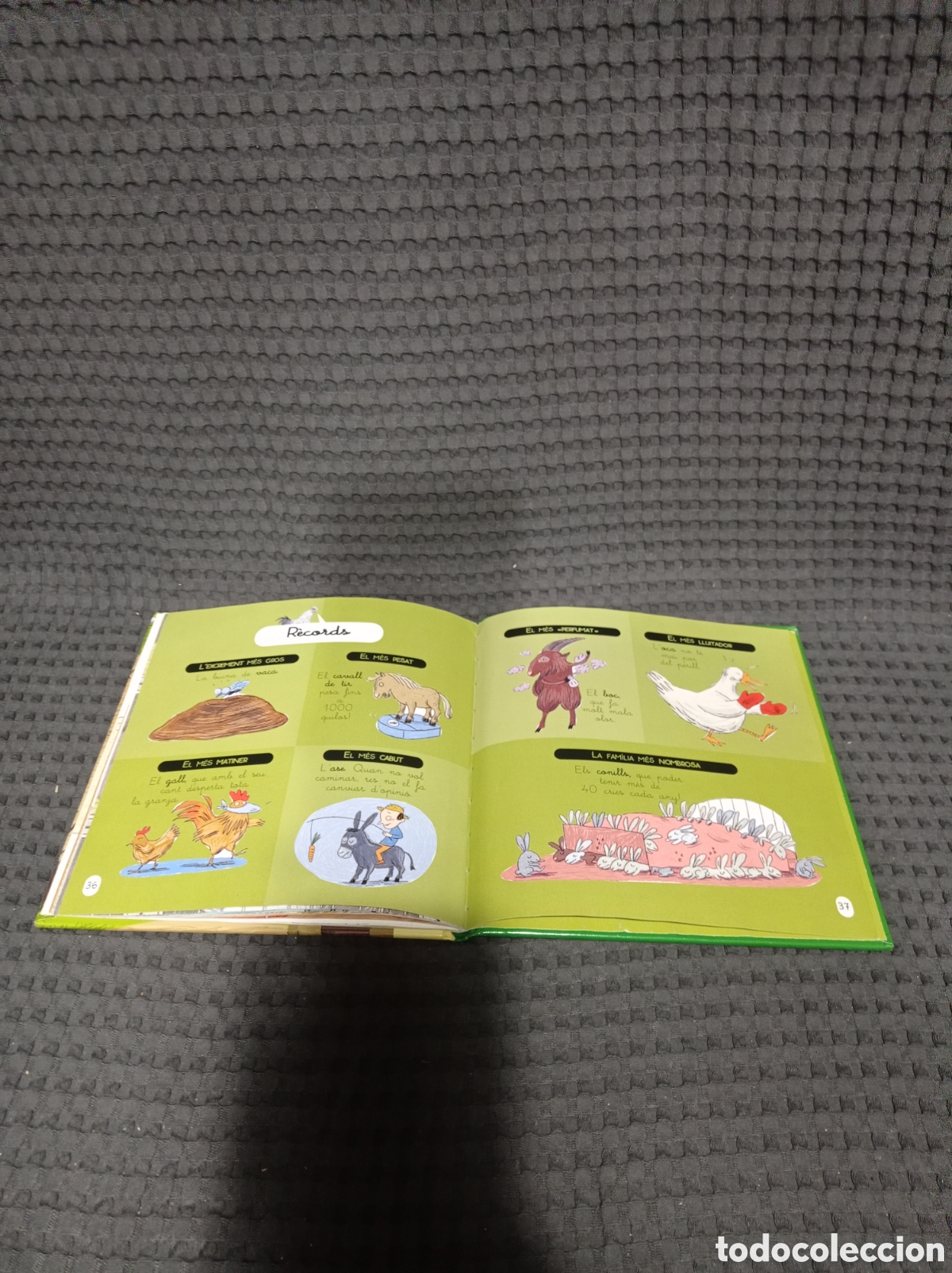 Libros de segunda mano: La granja Mini larousse - Foto 20