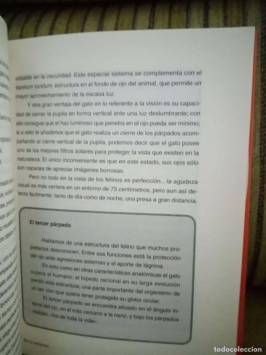 Libros de segunda mano: EL ENCANTADOR DE GATOS - Foto 9