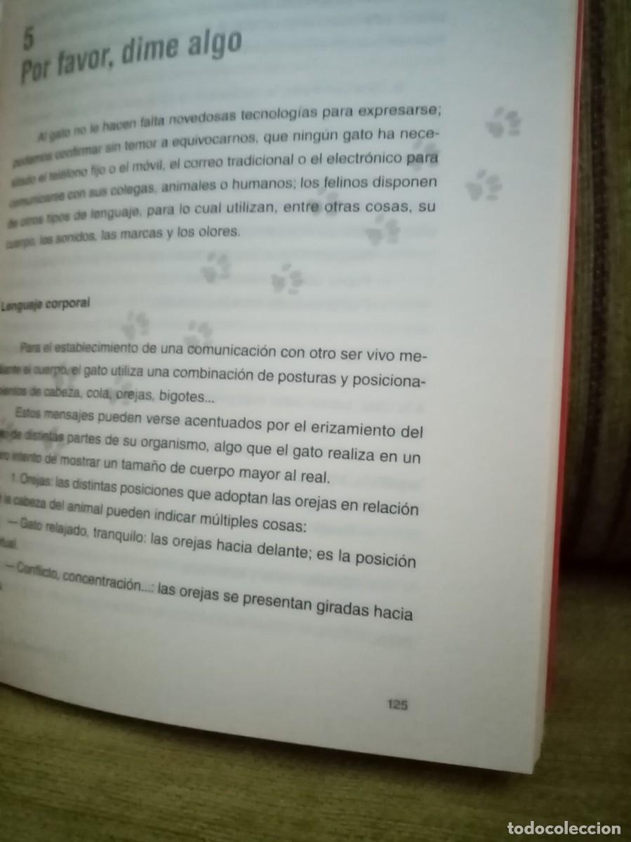 Libros de segunda mano: EL ENCANTADOR DE GATOS - Foto 11