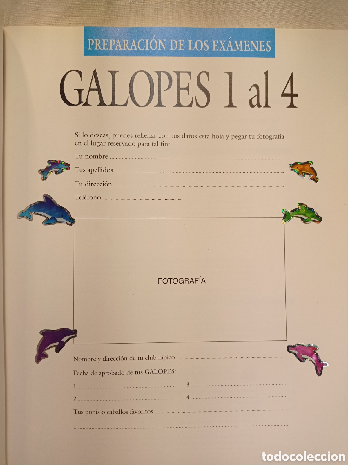 Libros de segunda mano: CURSO DE EQUITACI&Oacute;N GALOPES NIVELES 1 AL 4. - Foto 7