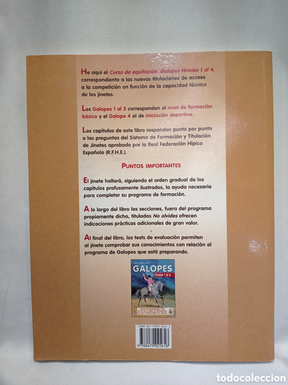 Libros de segunda mano: CURSO DE EQUITACI&Oacute;N GALOPES NIVELES 1 AL 4. - Foto 8