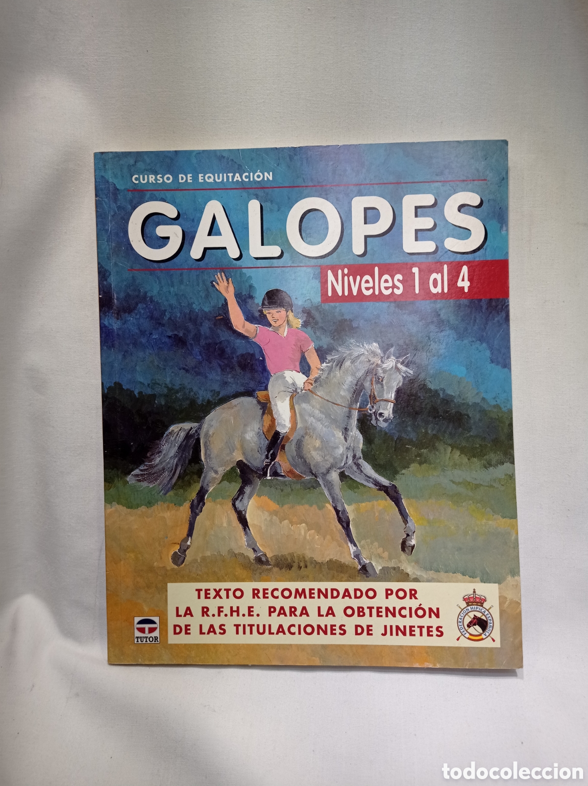 Libros de segunda mano: CURSO DE EQUITACI&Oacute;N GALOPES NIVELES 1 AL 4. - Foto 1