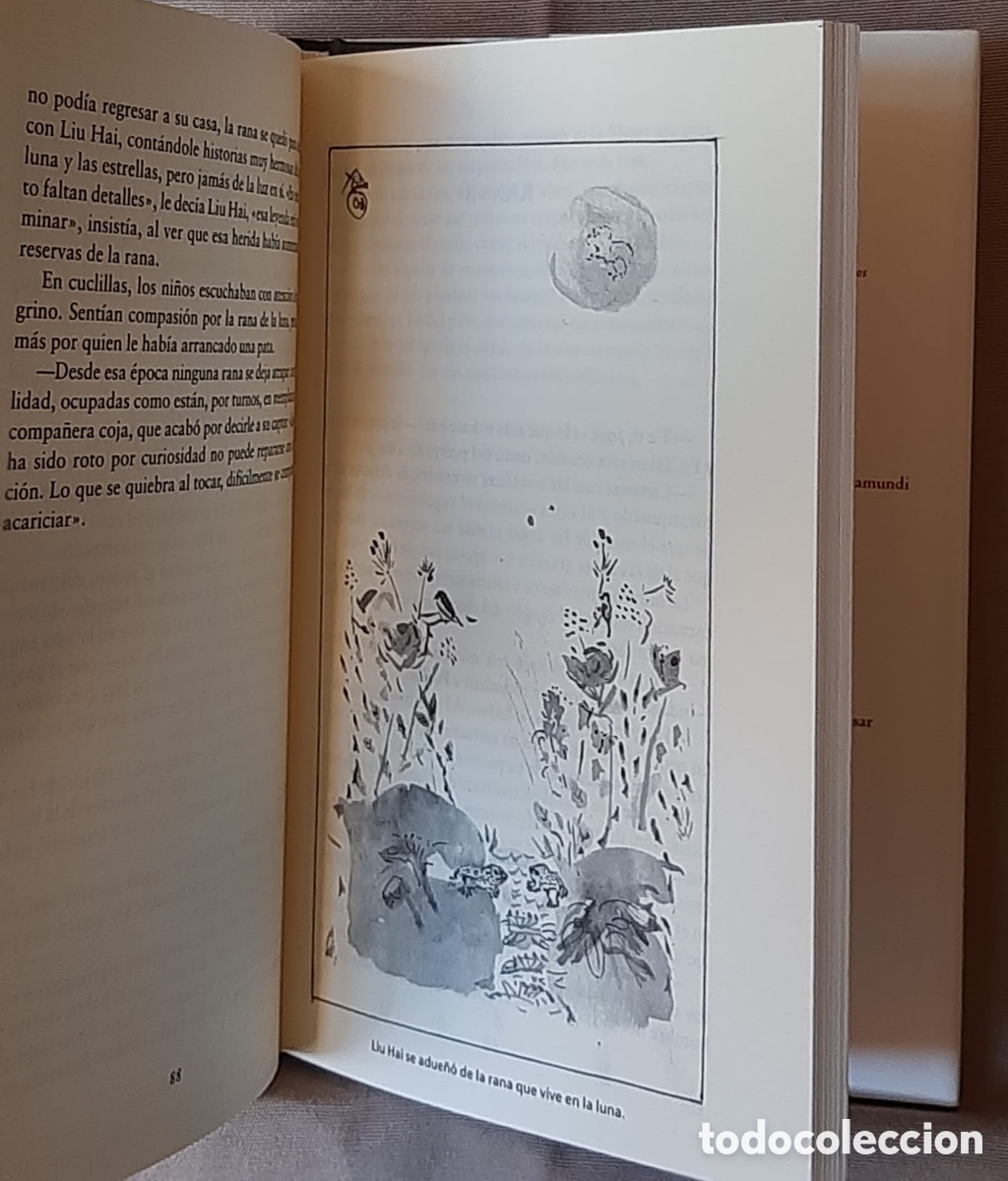 Libros de segunda mano: El Buda de la risa. Mario Satz. ENVIO INCLUIDO - Foto 5
