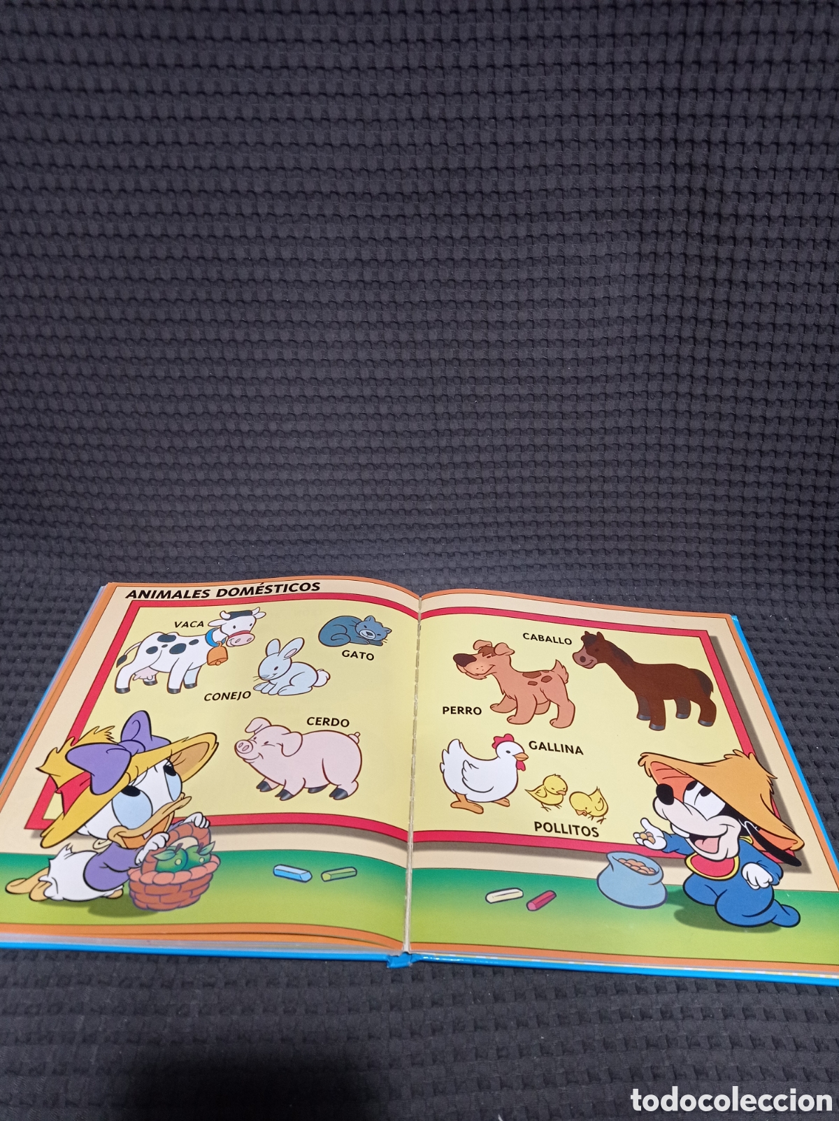 Libros de segunda mano: Mis primeras palabras Disney - Foto 11